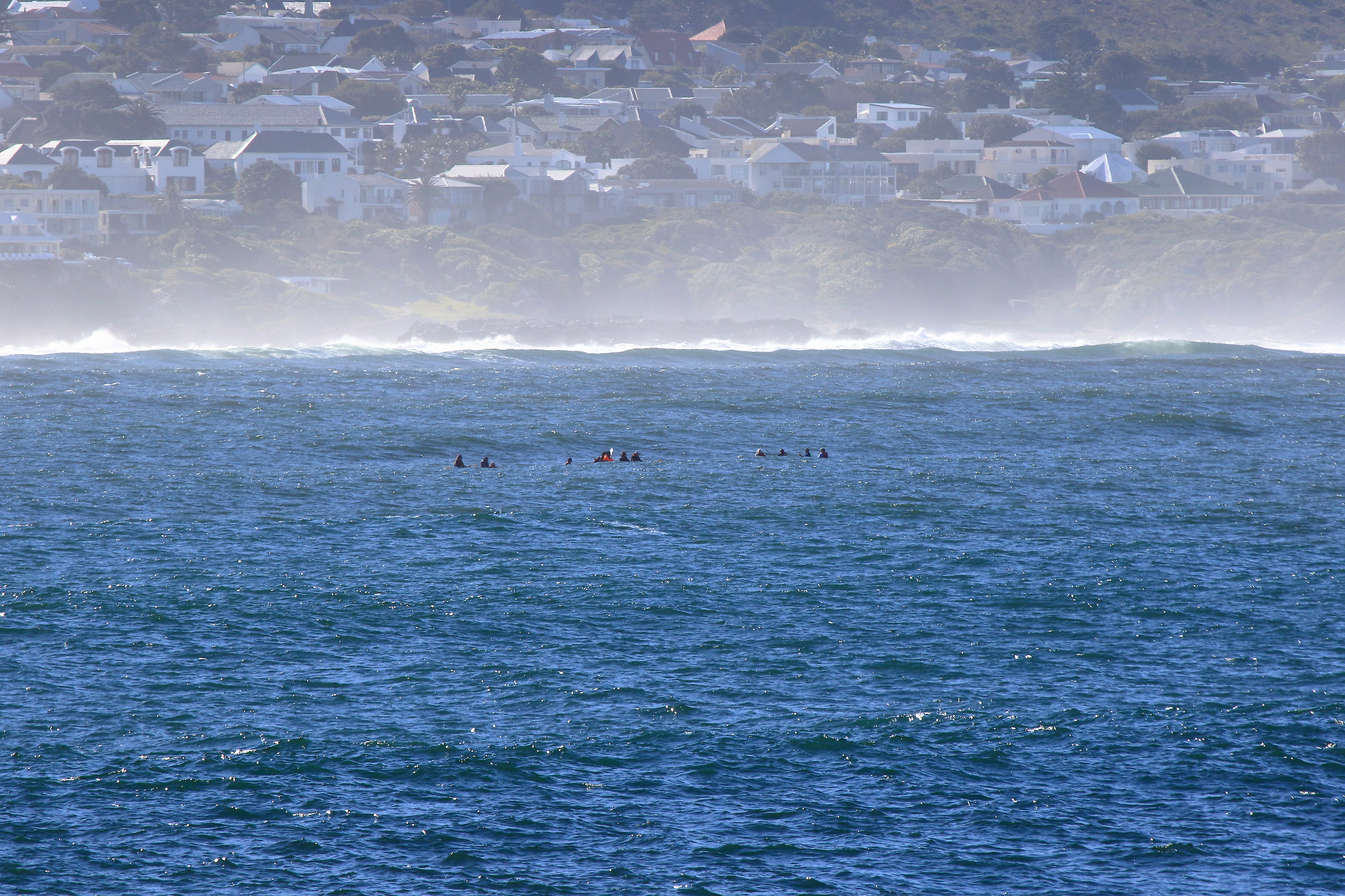 in search of whales in kayaks