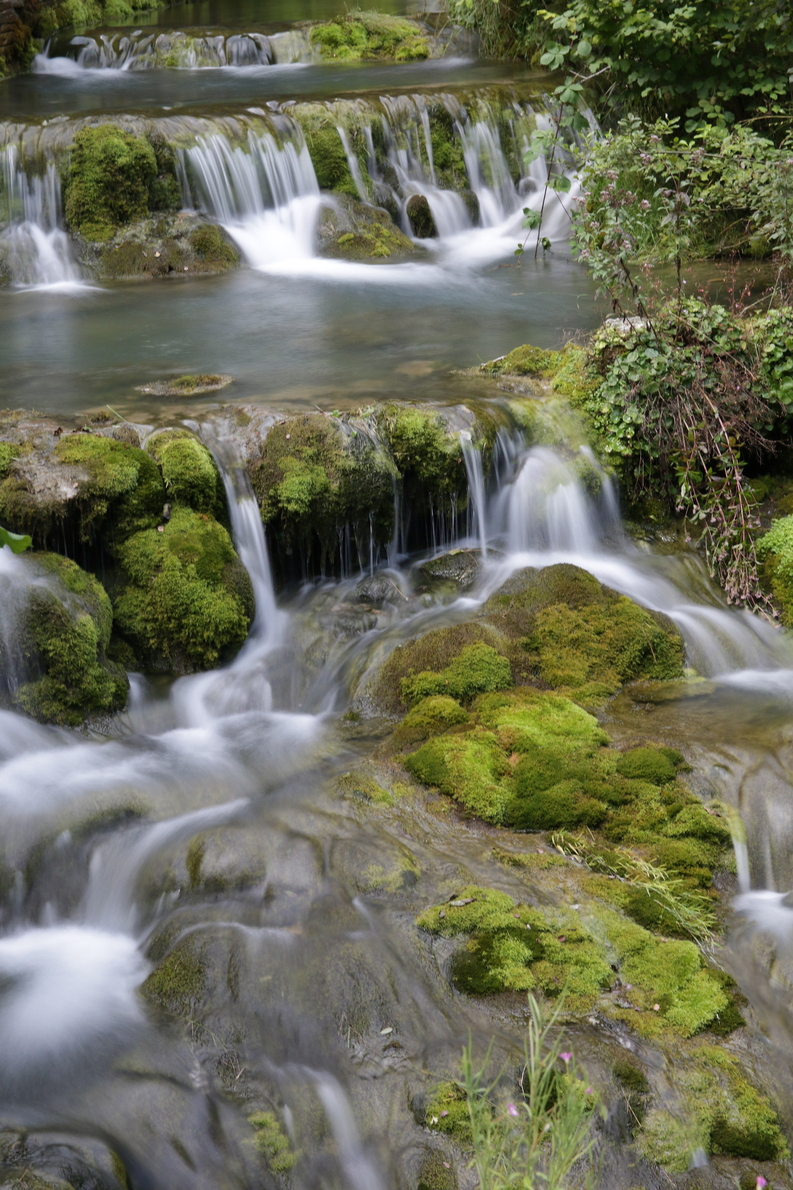 Acque Setose (La fonte Dragonera)