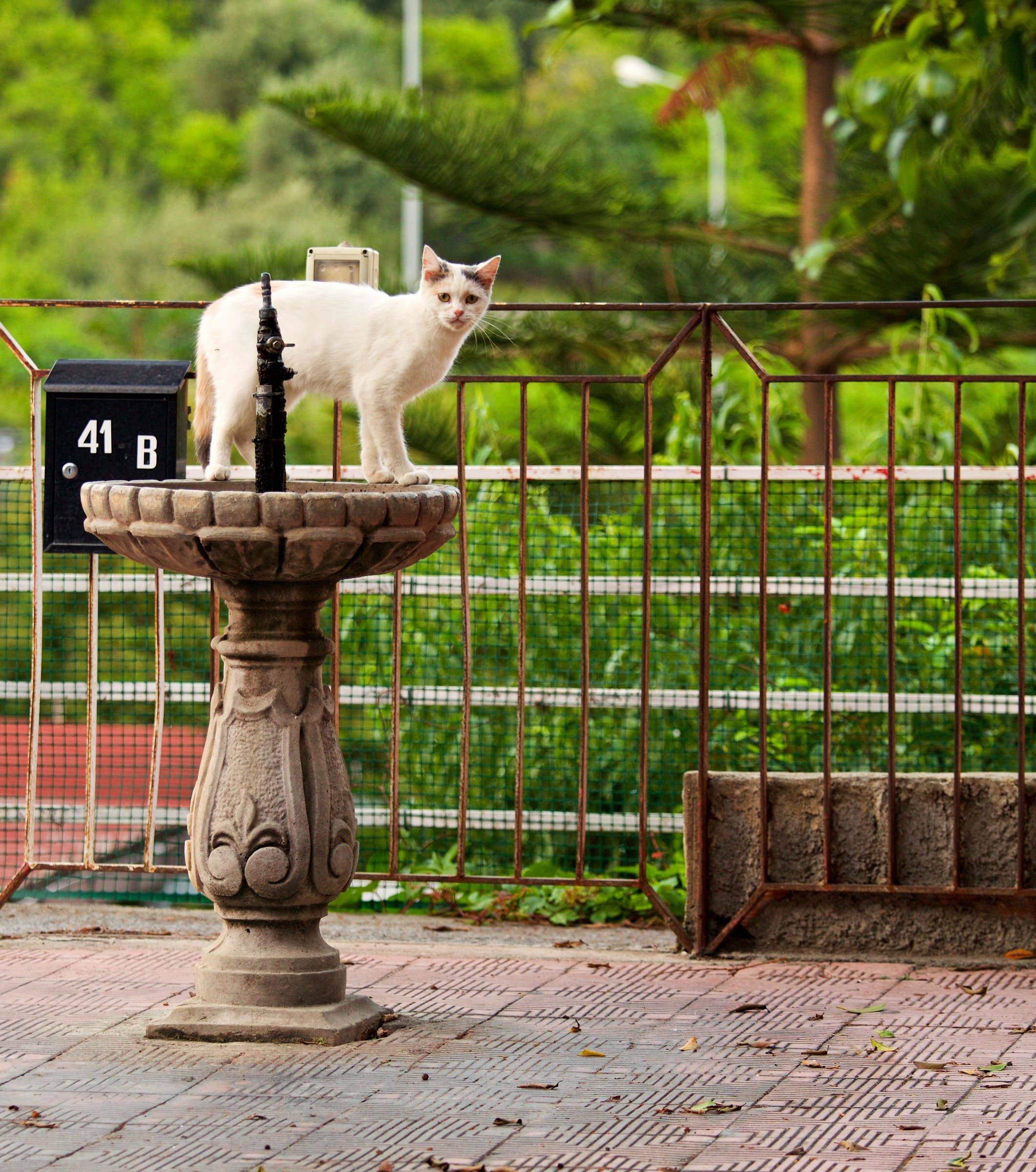 Ho appena bevuto, cos'hai da guardare?