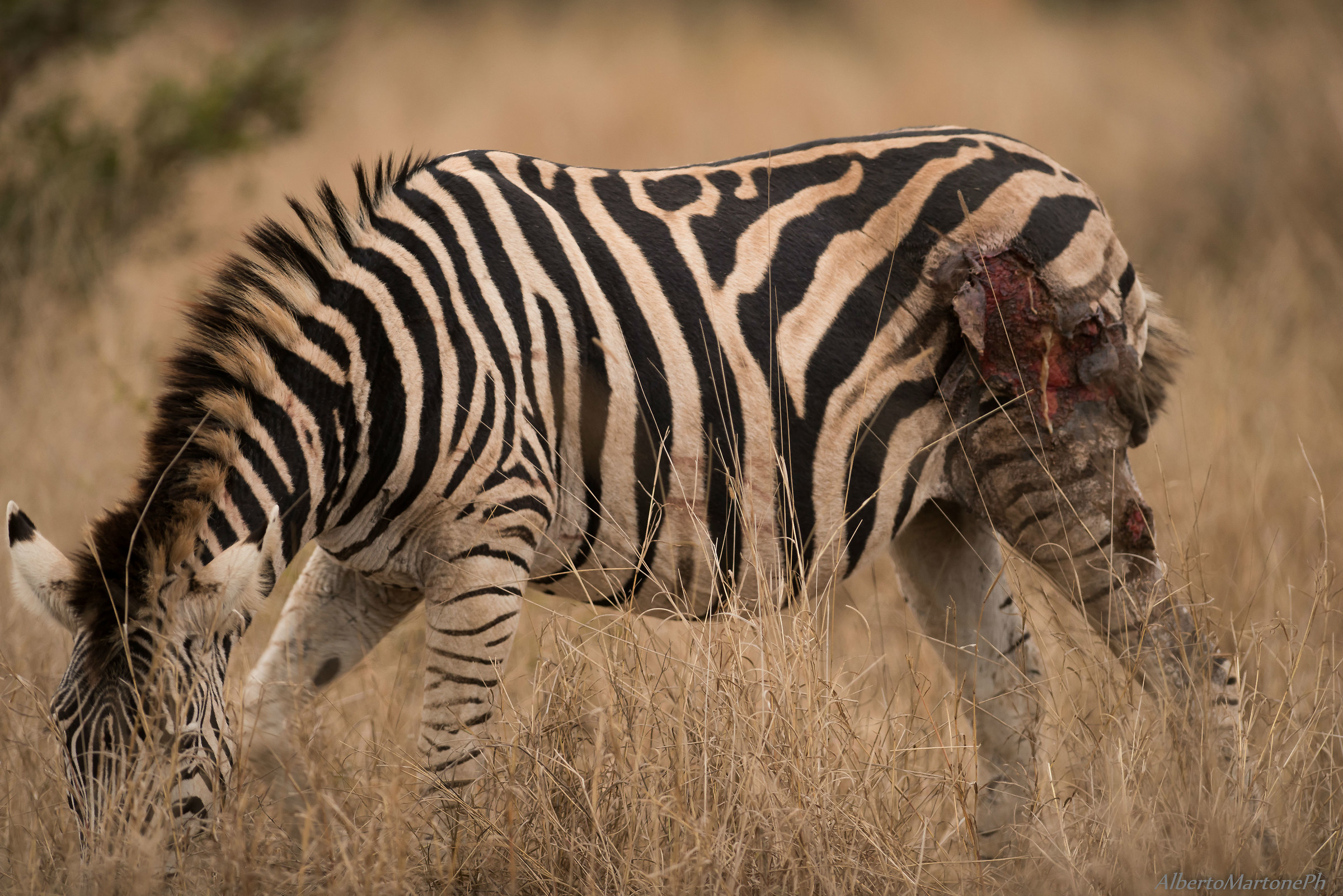 e' andata bene..................