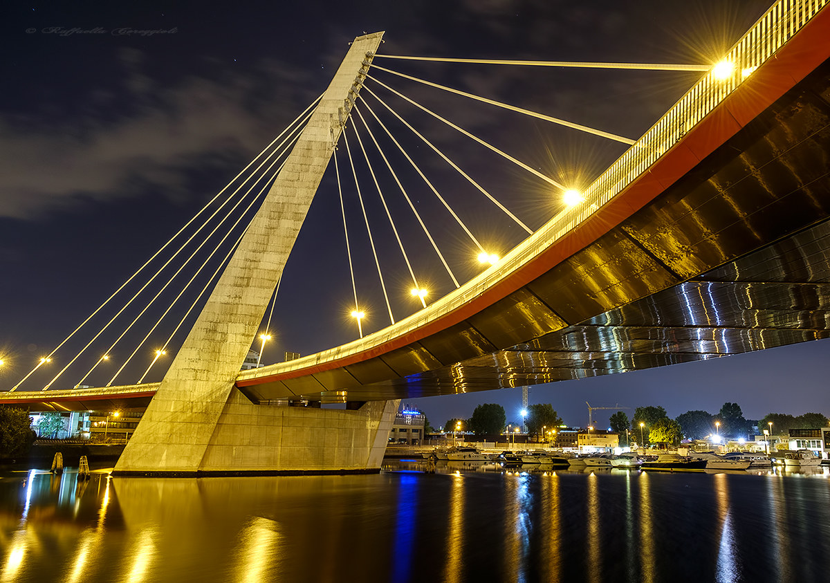 The cable-stayed bridge