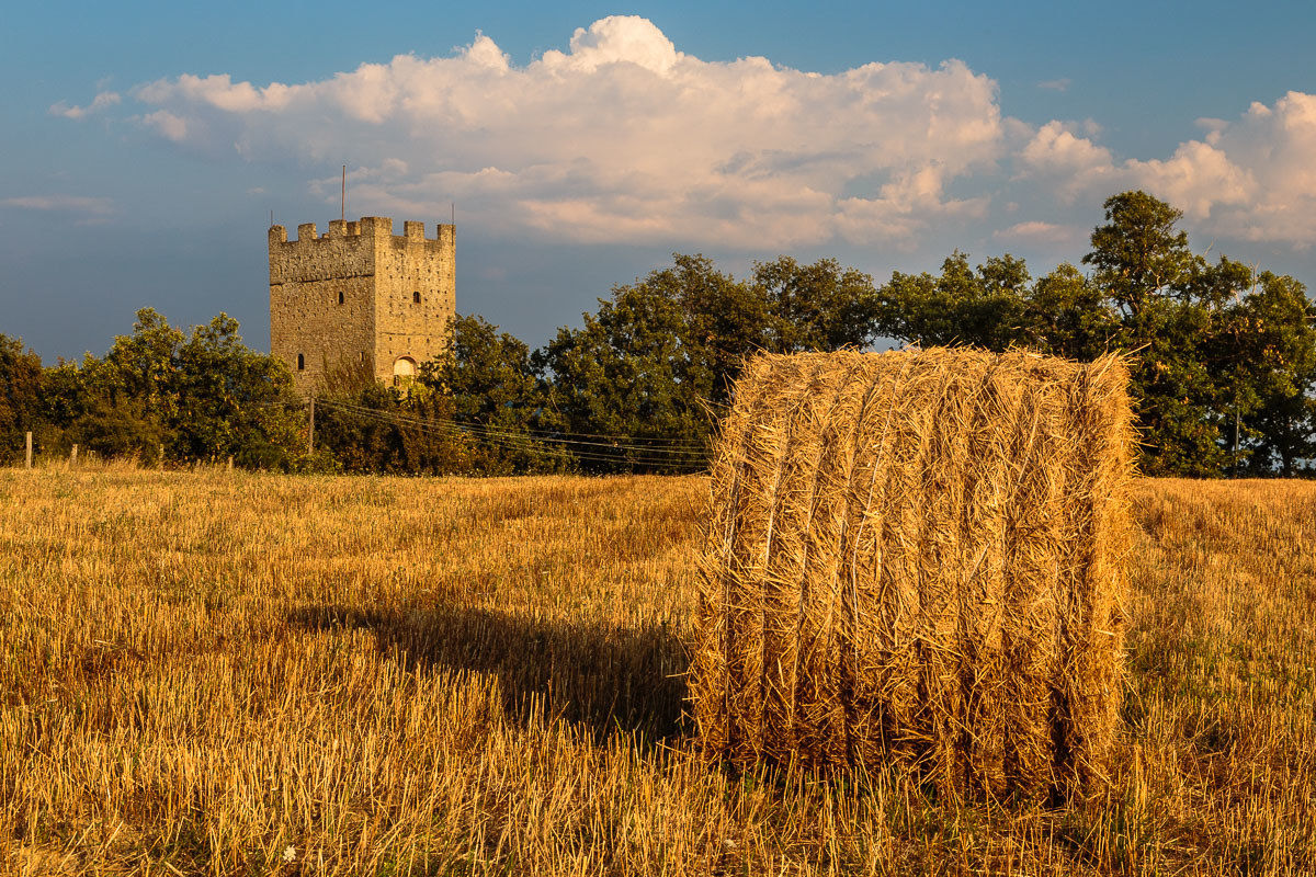 Castello di Porciano, campagna