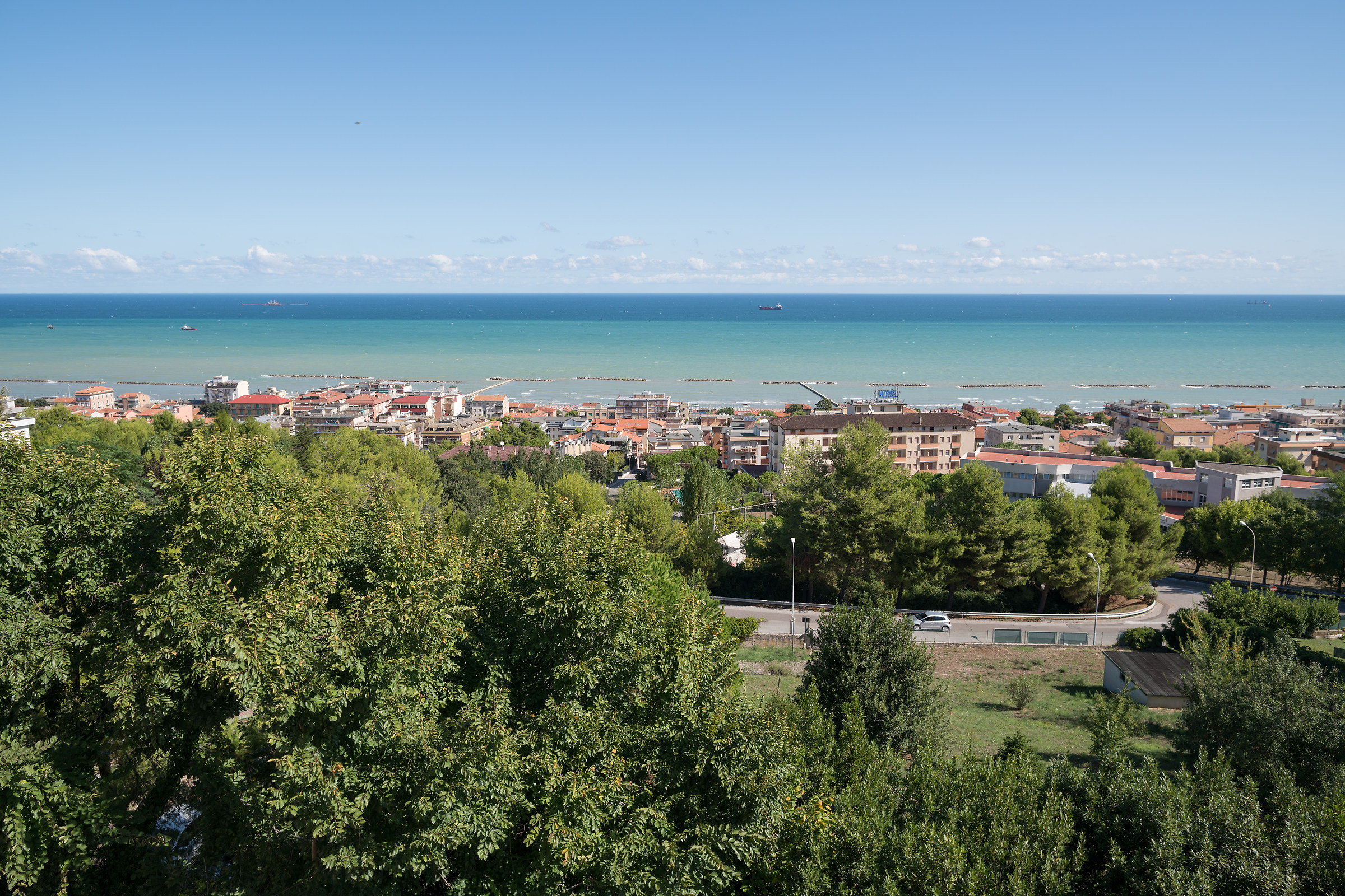 Sony a7r2 & Canon 24L II