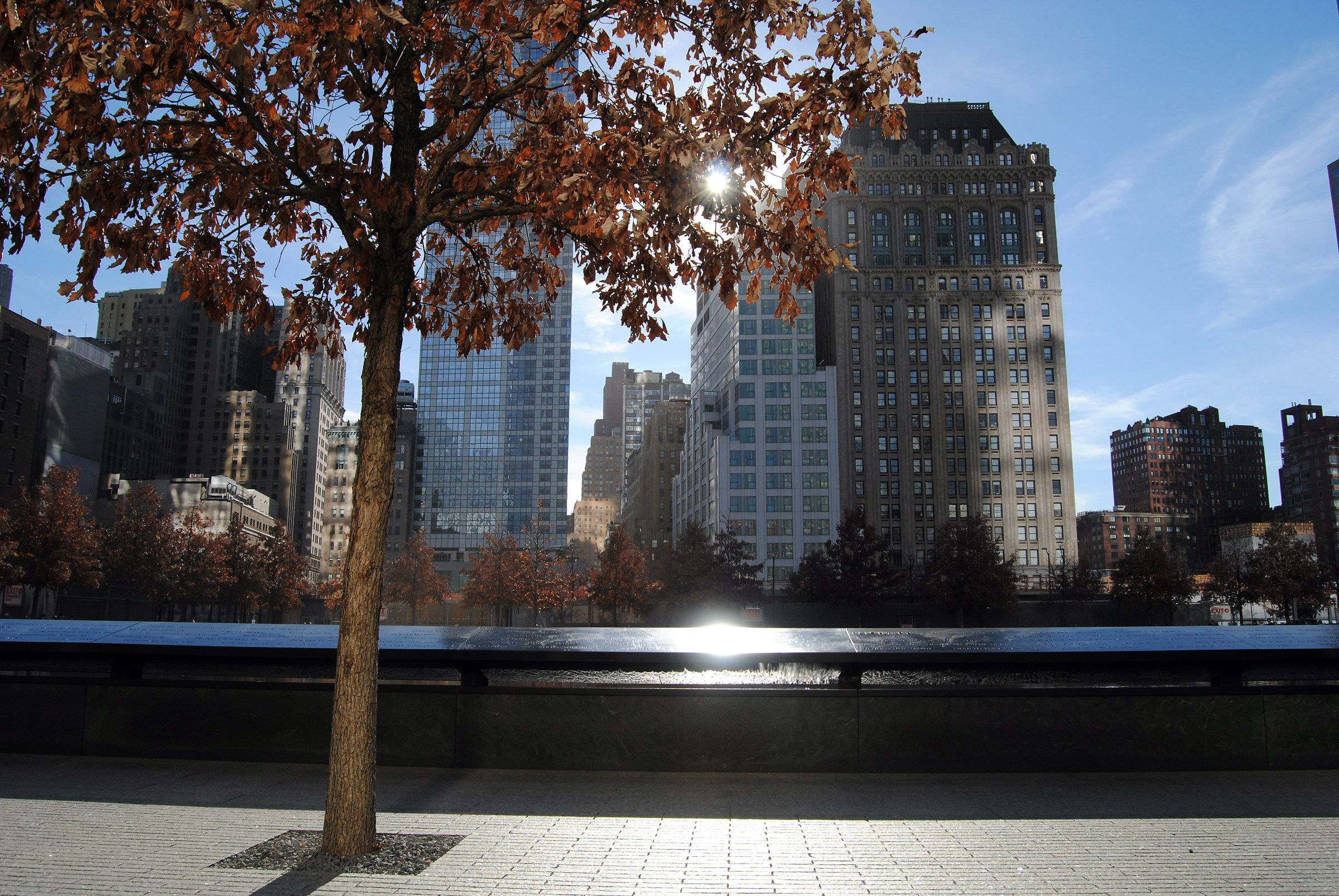A light of hope - New York, USA