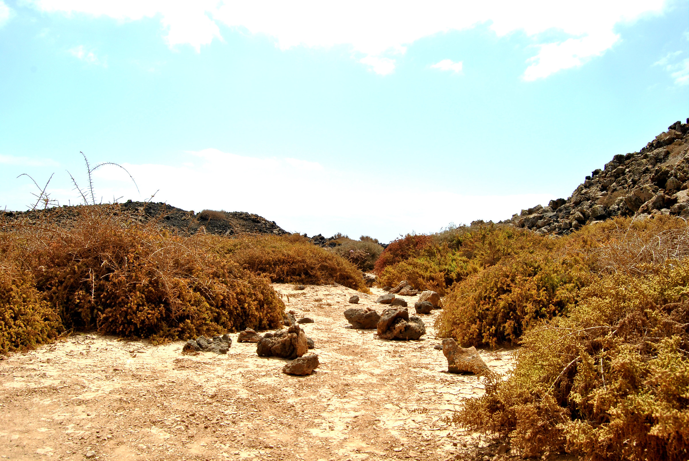 Los colores del desierto