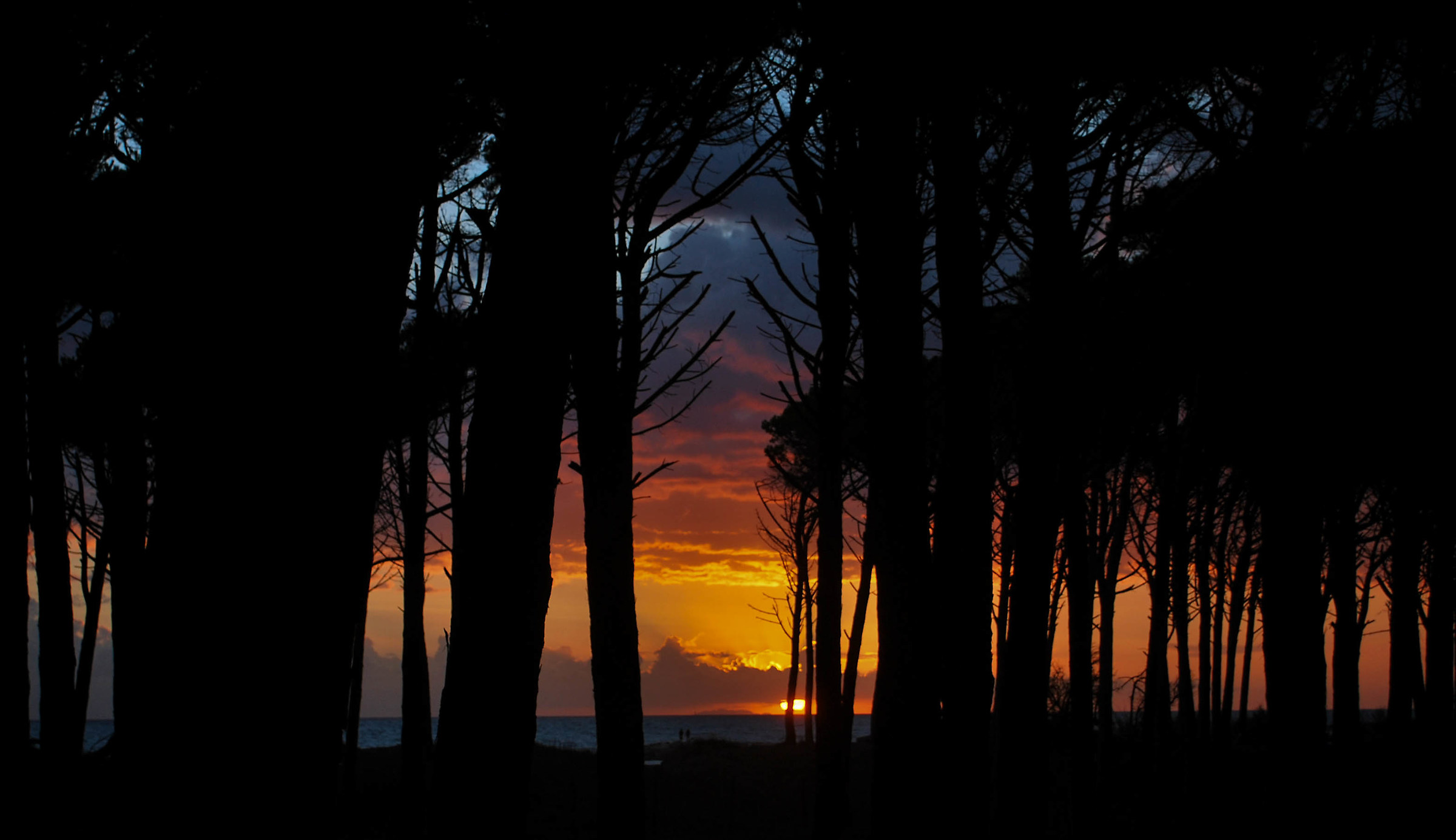 Marina di Cecina - Toscana