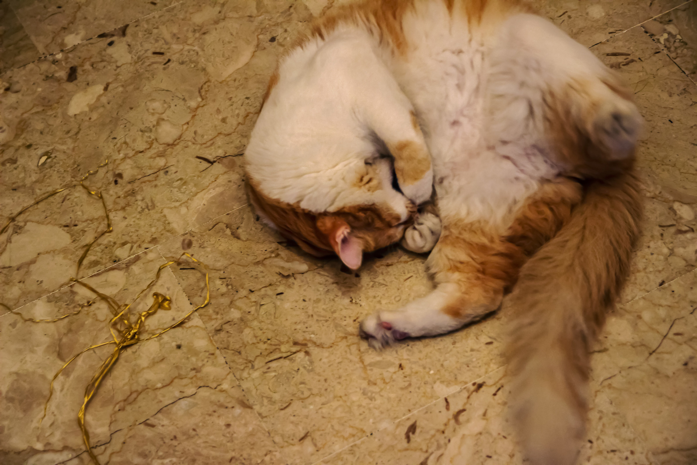 Moses and the frenzy of the game