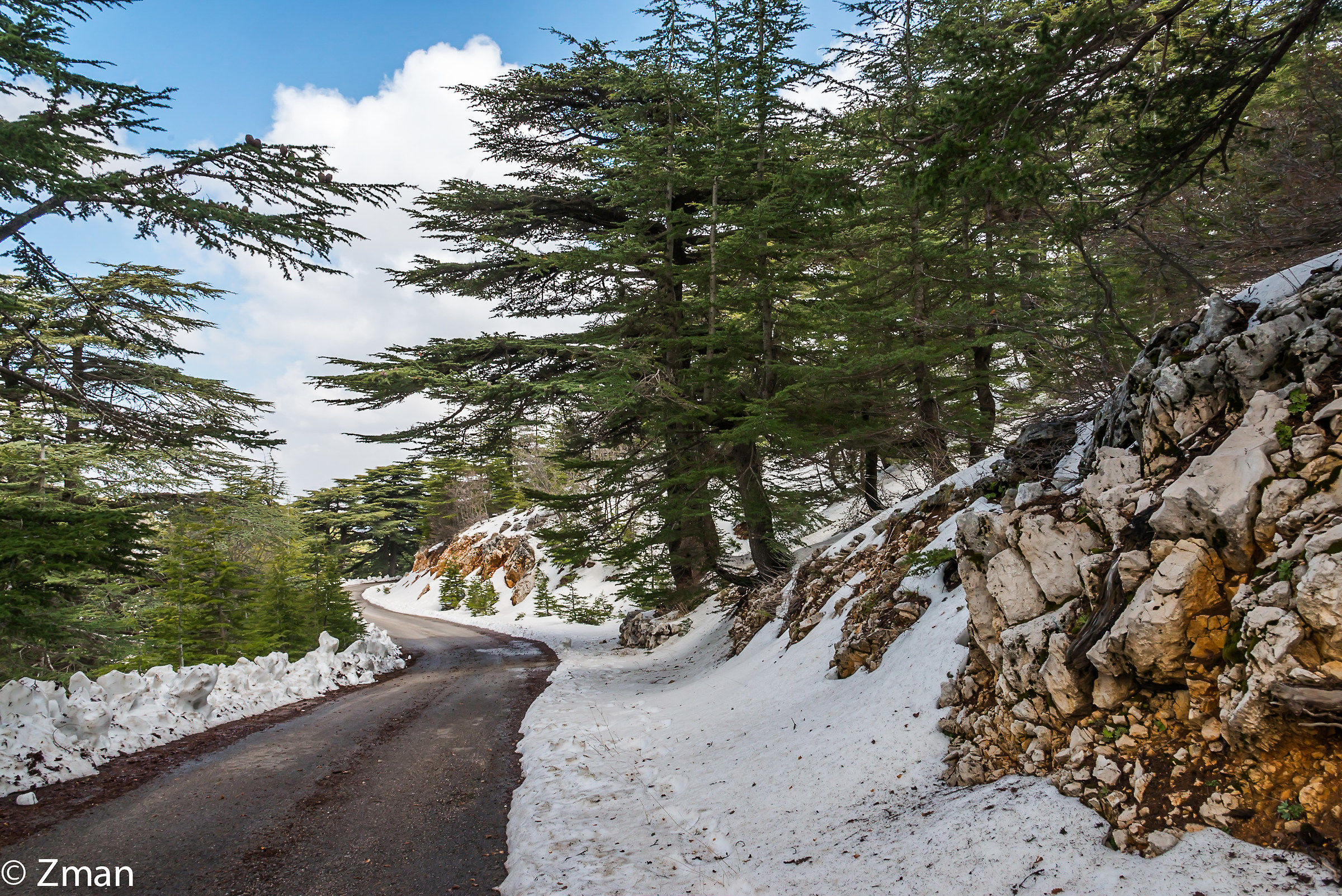 The Cedars Of Al Barouk