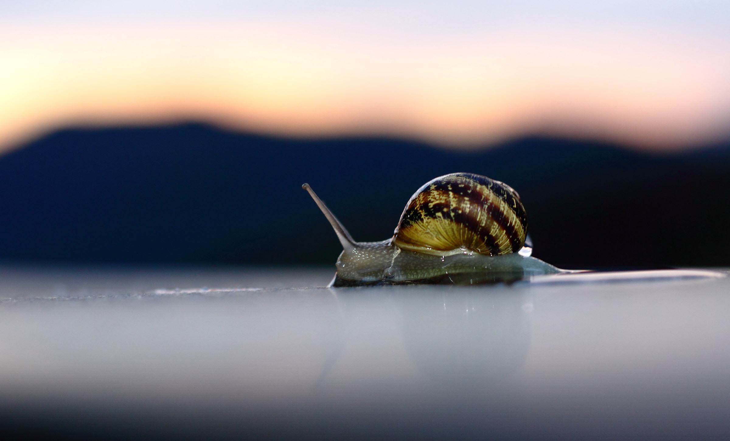 ... To distant lands ...