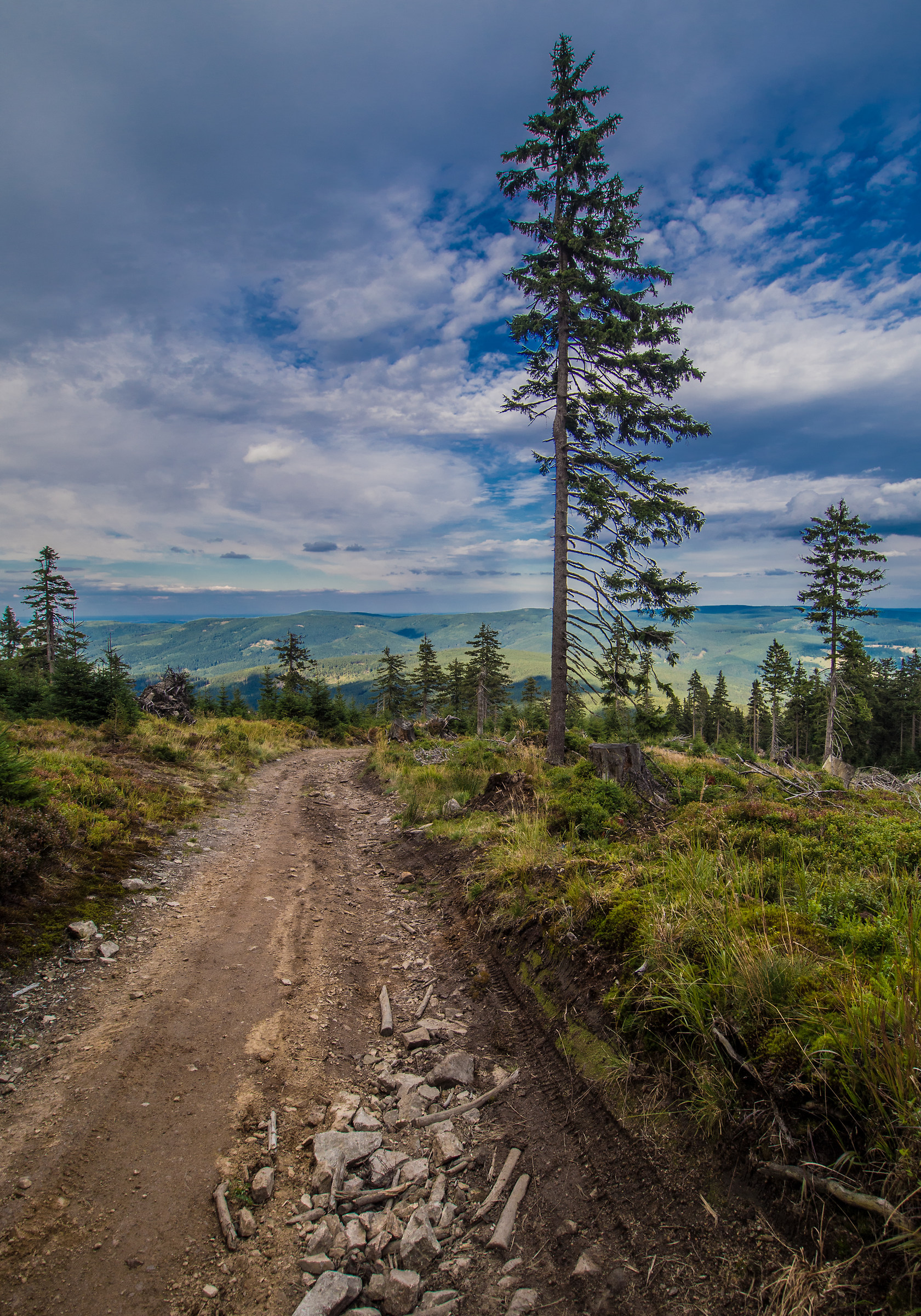 The Route to mountain Snieznik
