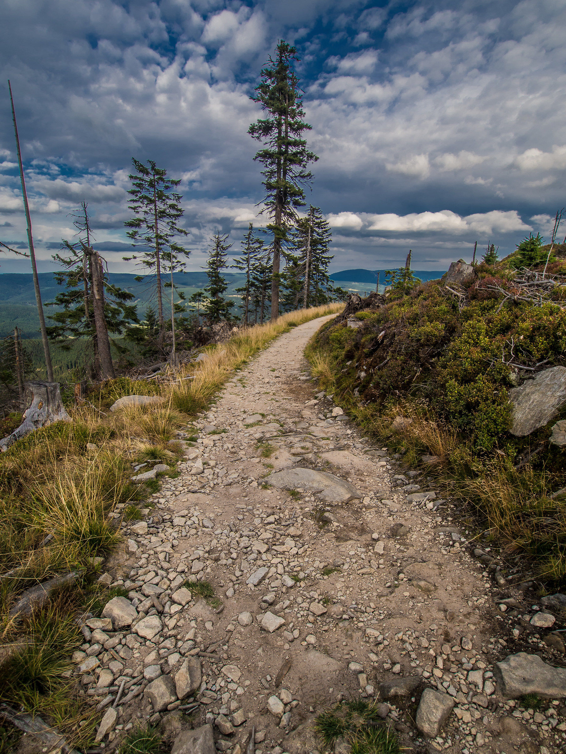The Route to mountain Snieznik 1