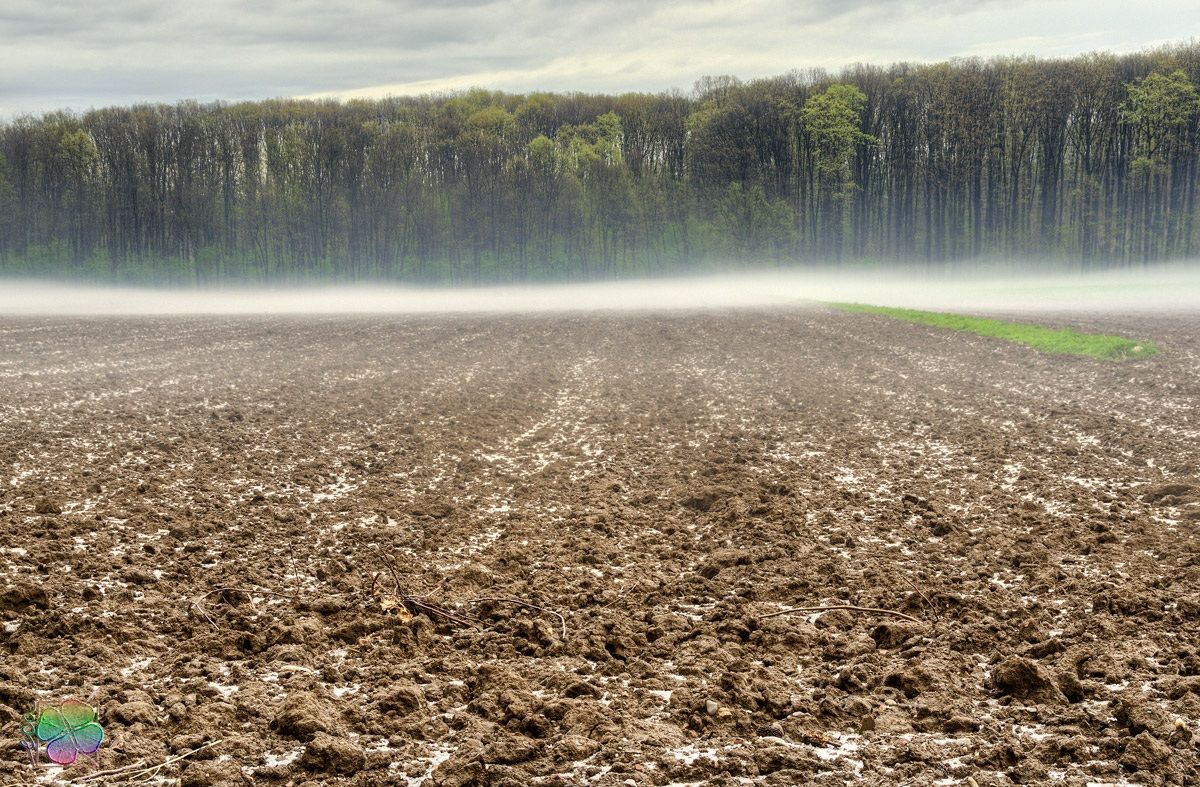 dopo la grandinata (revised)