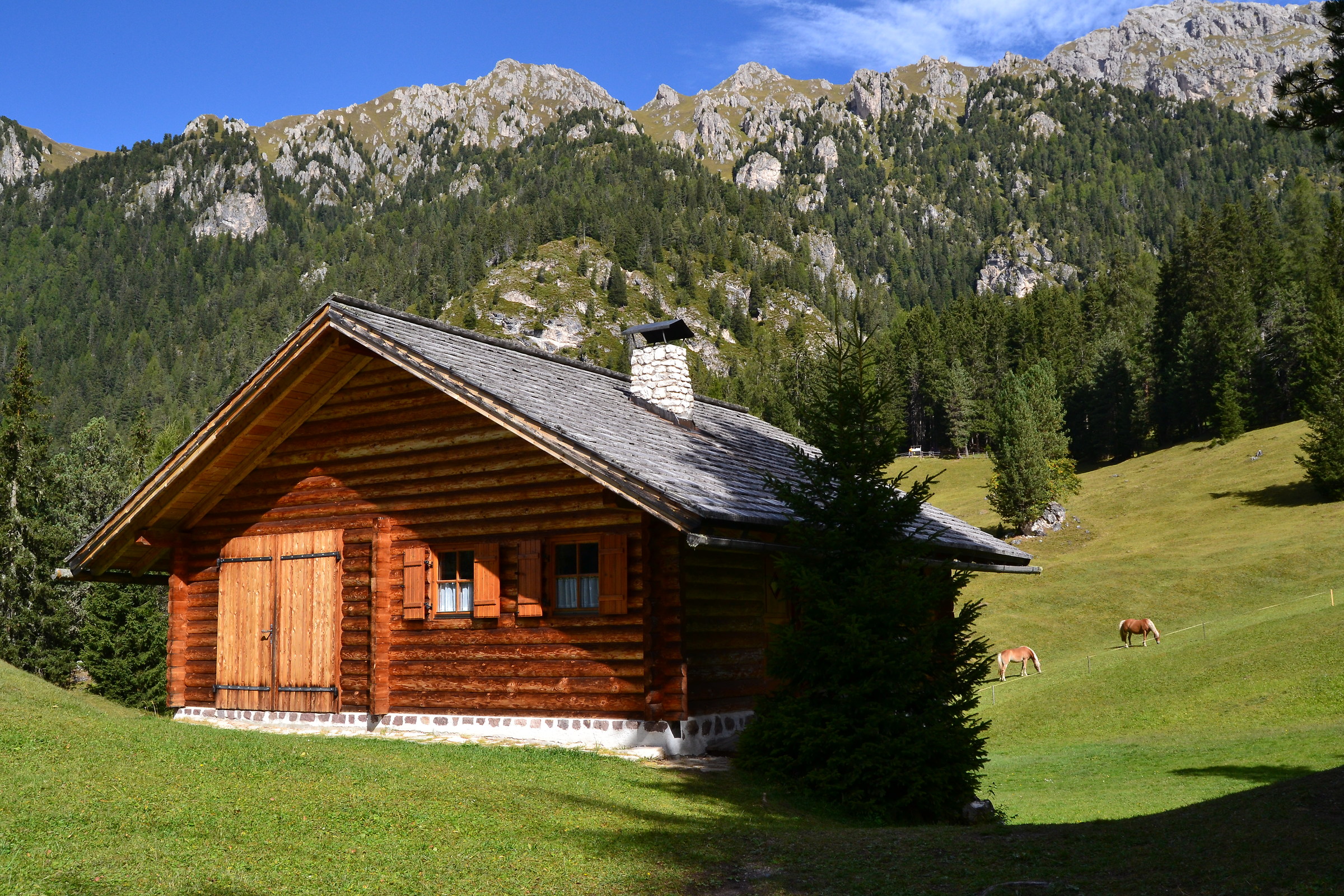 Funes, the cabin of dreams