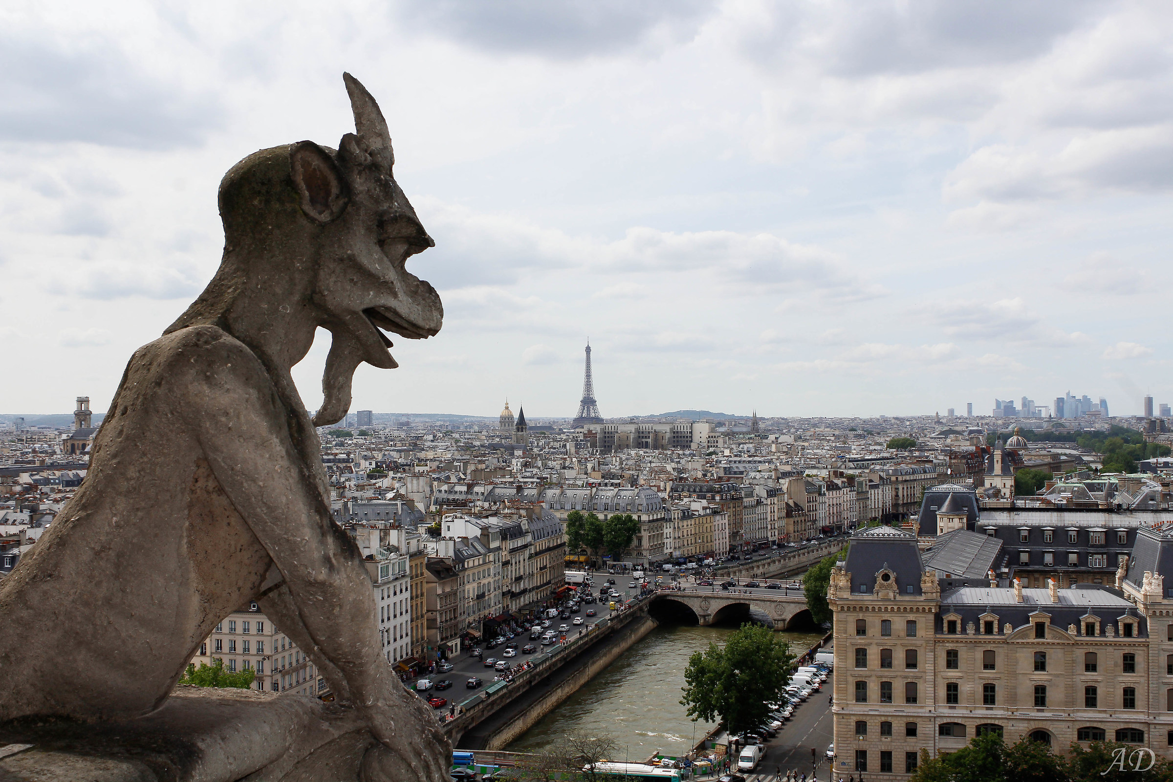 Parigi da Notre-Dame