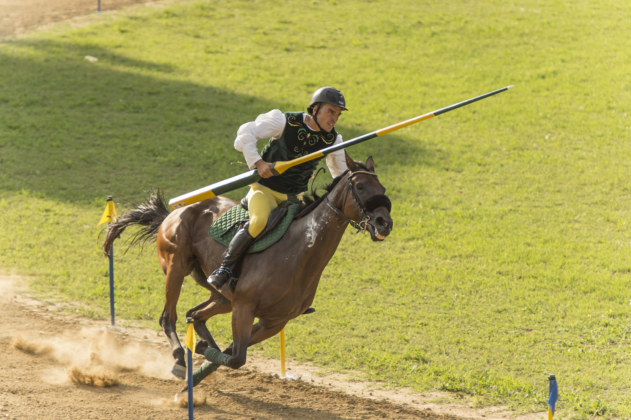 Joust of the Ring in Servigliano (the Winner)