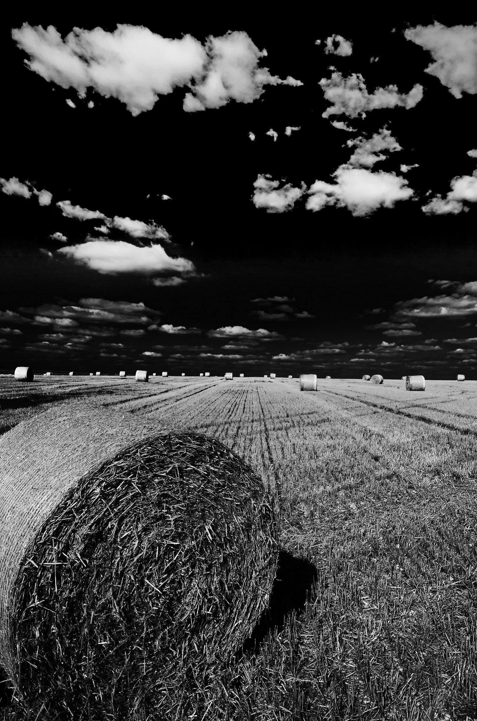 Straw Bales and White Clouds....