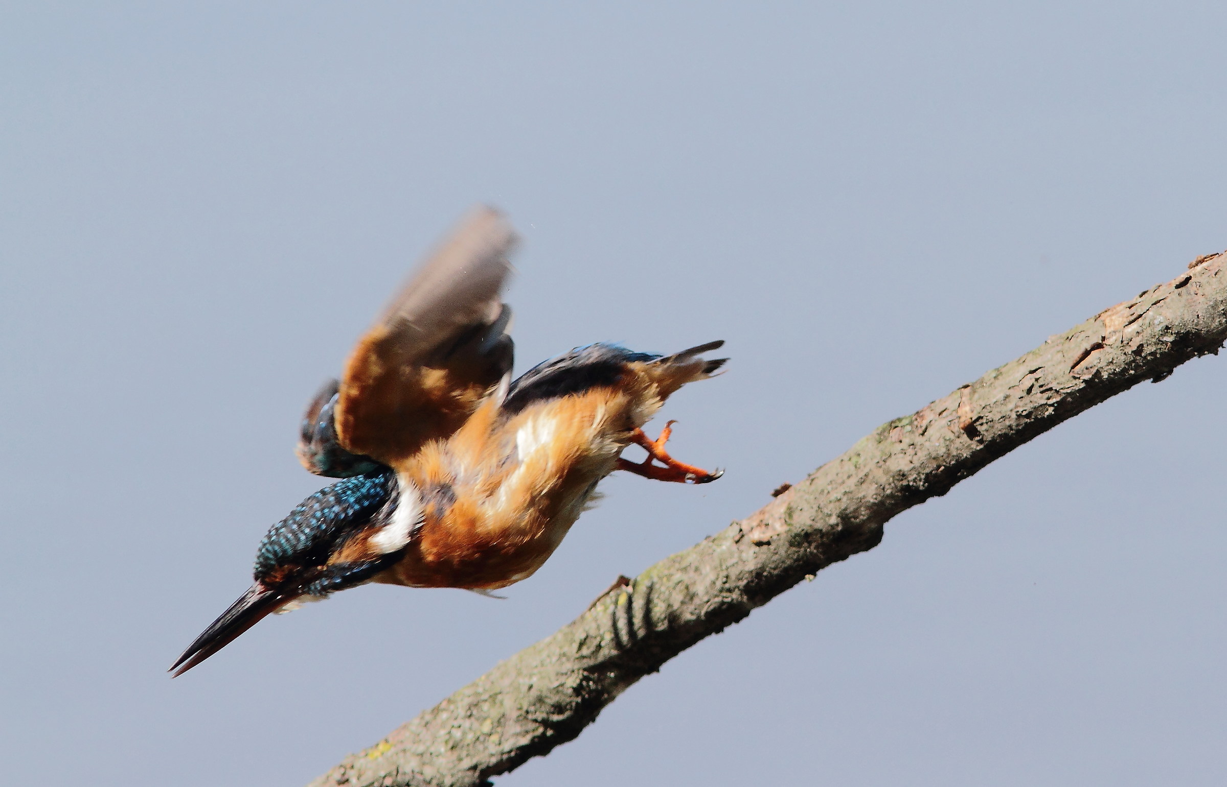 vado a fare un bagnetto e torno