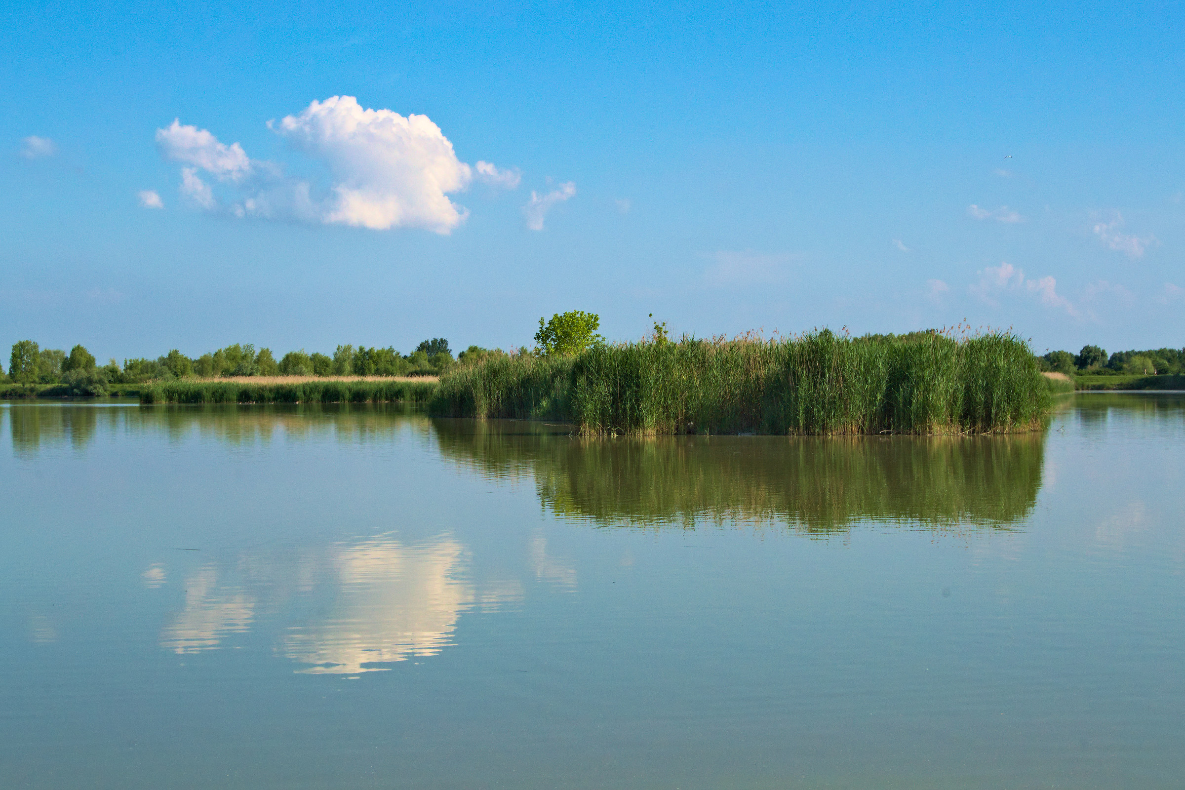 Oasis Valley Santa - Campotto (FE)