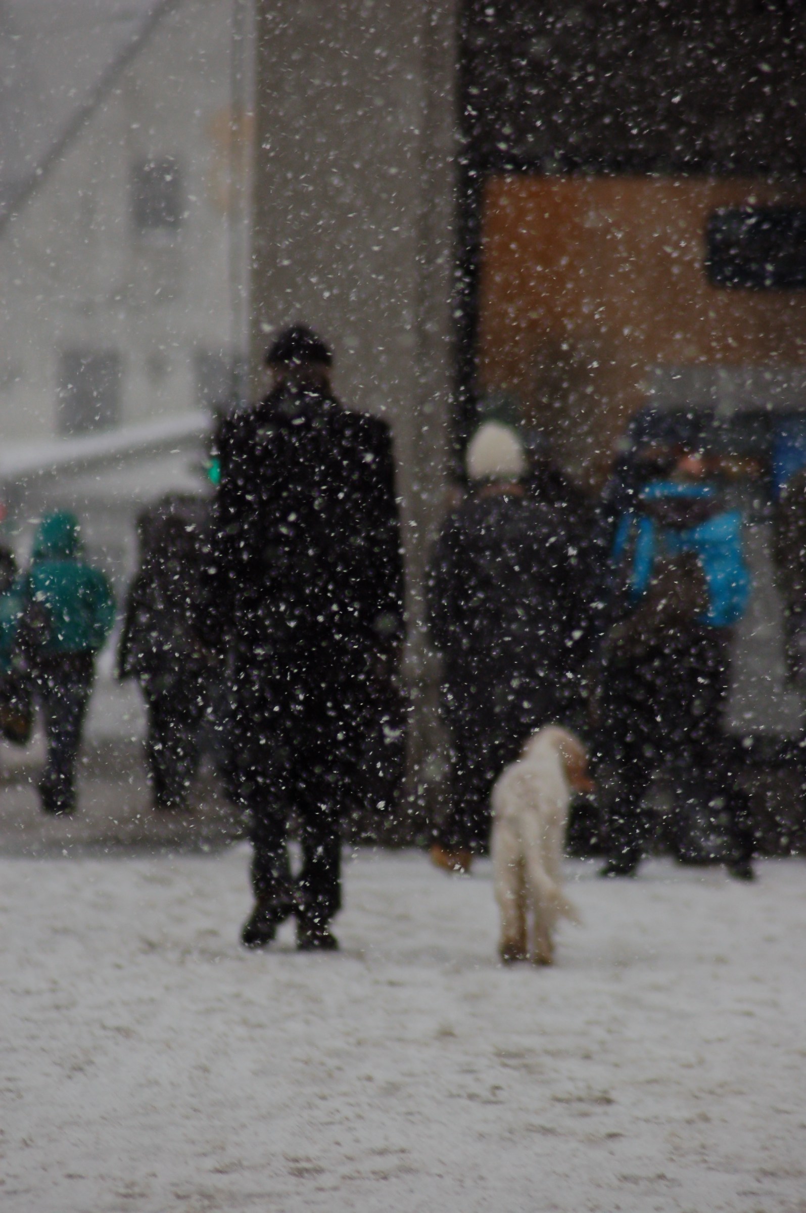 Walking in the snow (Norway)