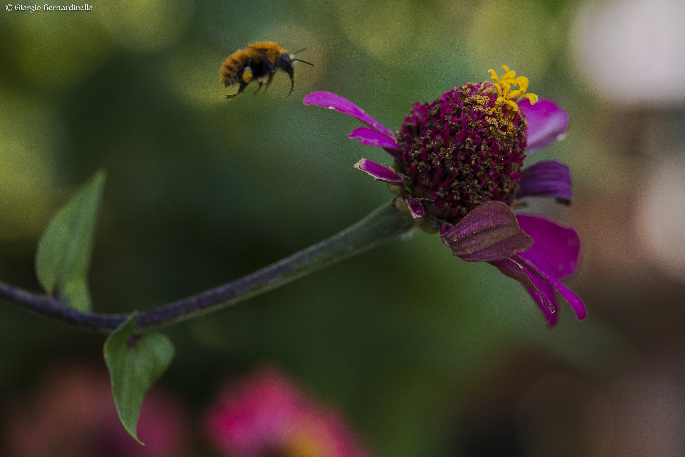 Food (almost) sold out