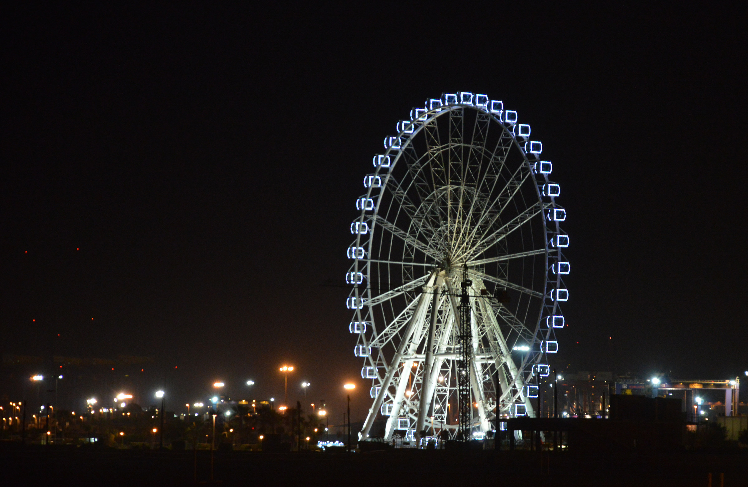 Ferris Wheel Valencia
