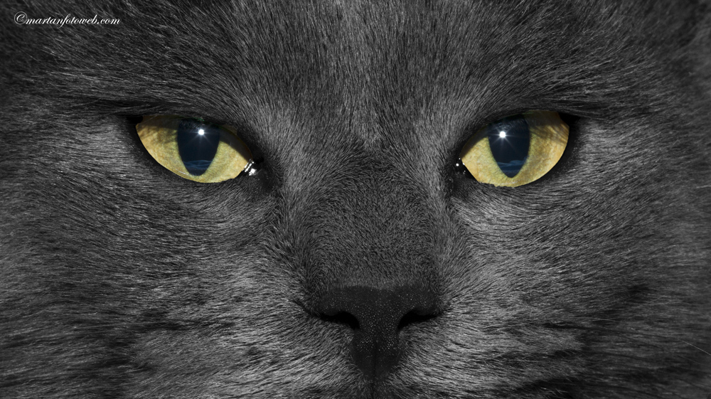 Il deserto negli occhi