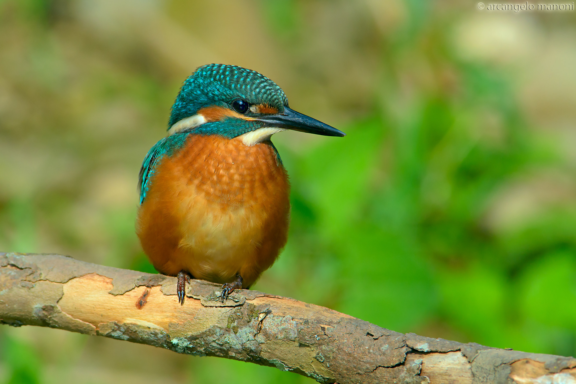 L'Attesa 2 a iso 640