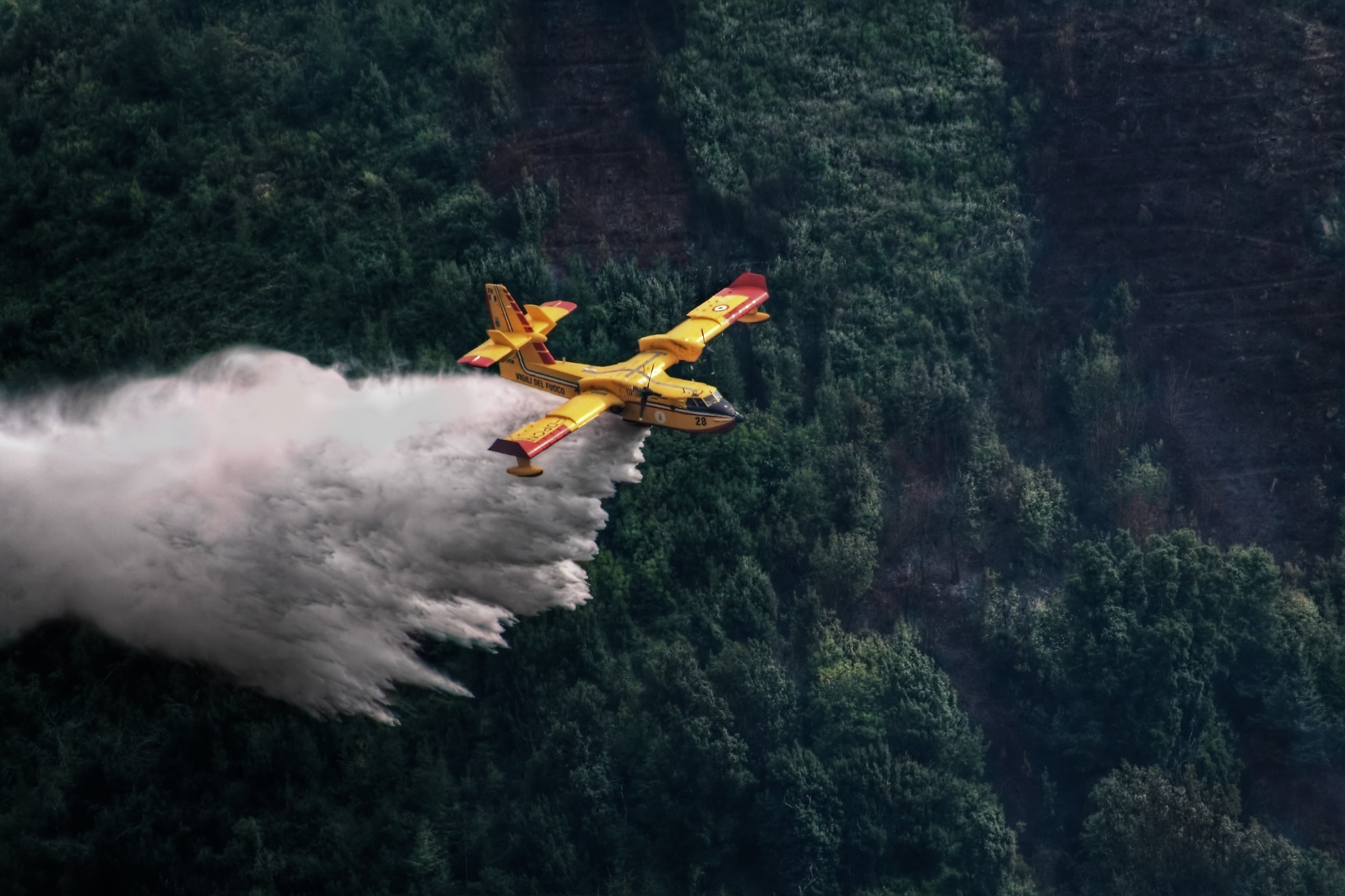 Intervento tempestivo