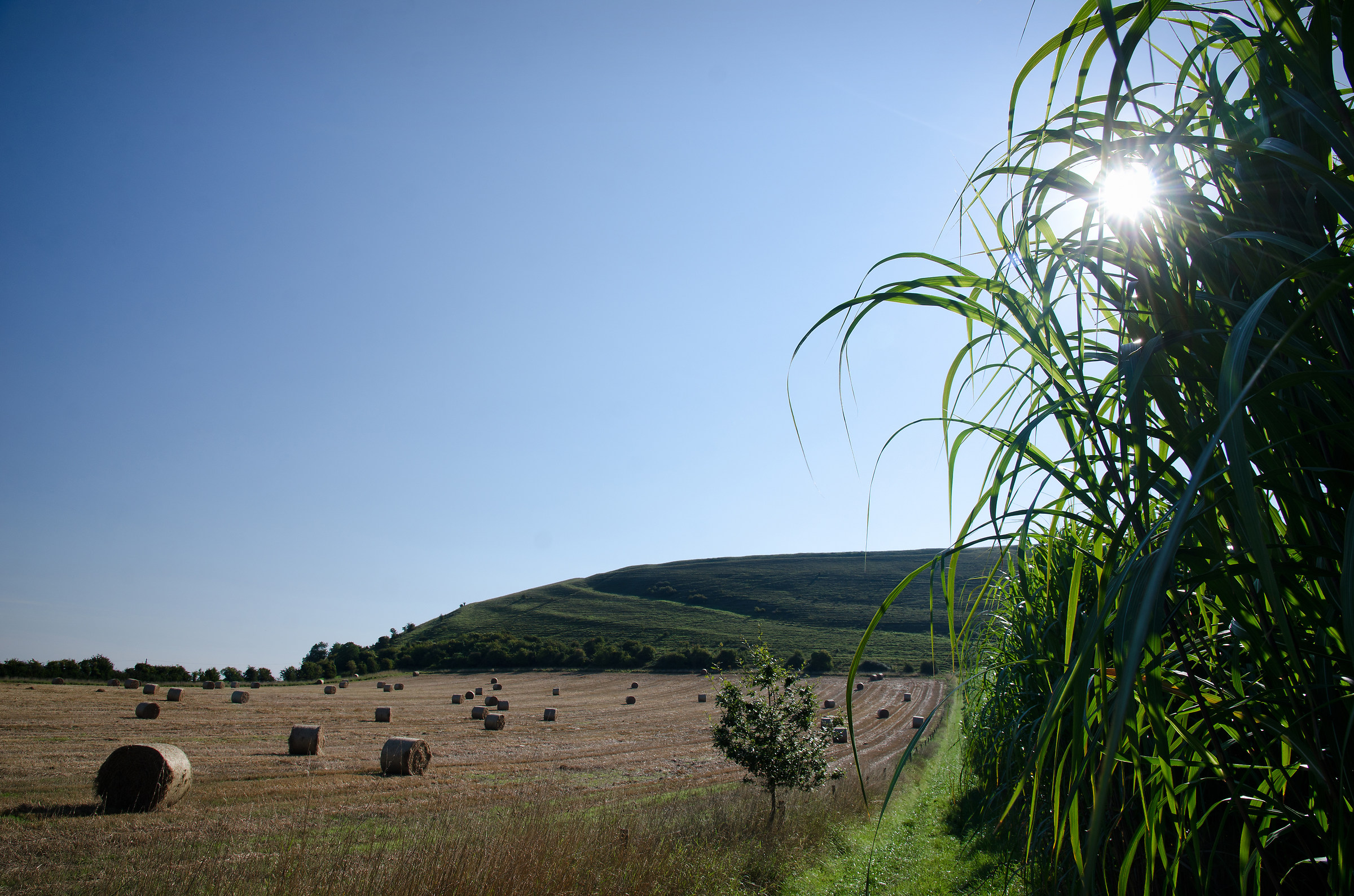 In cammino fino a Winklebury Hill!