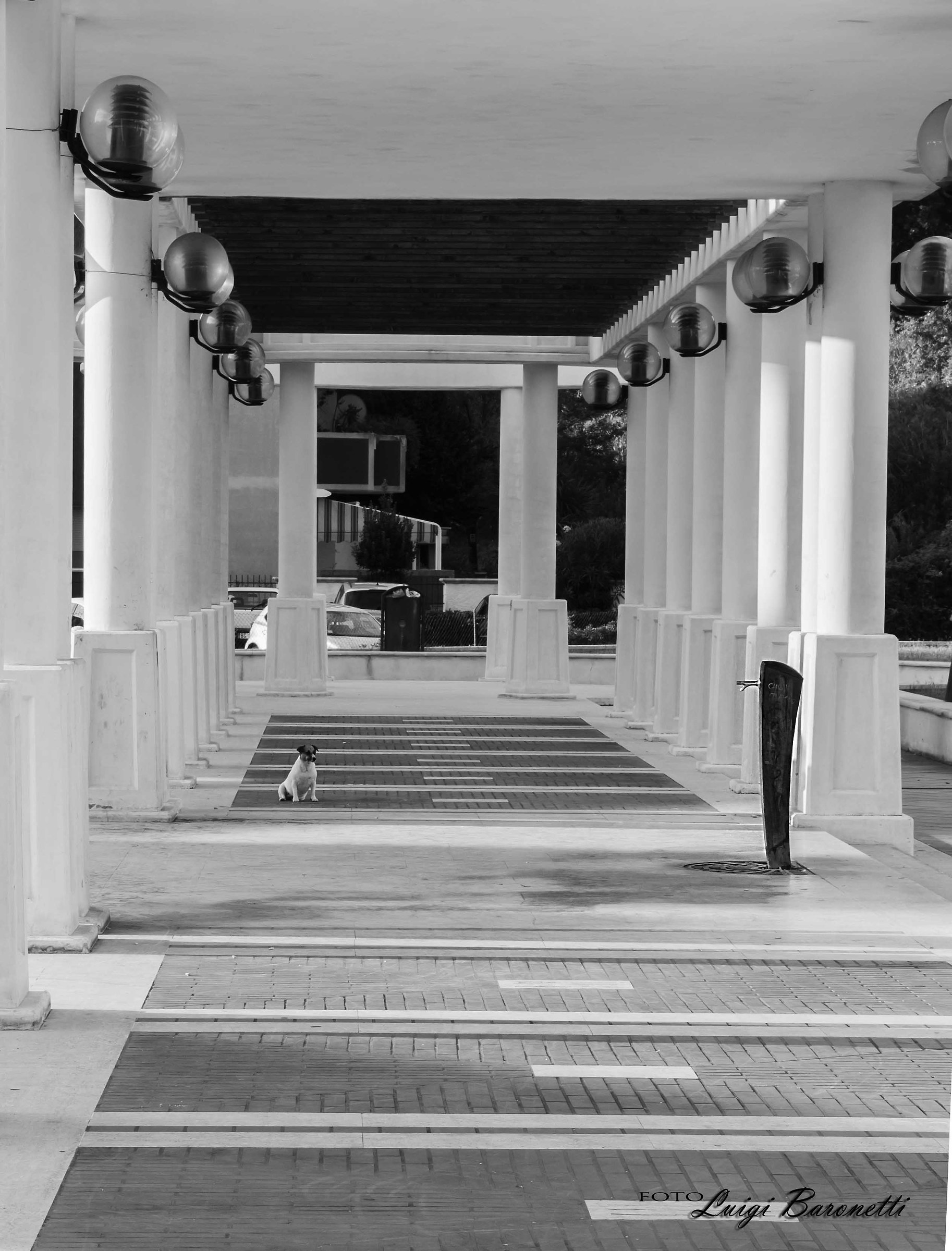 ...allora,ti decidi a darmi l'acqua?