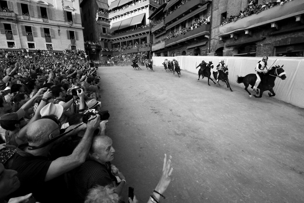 Palio di Siena