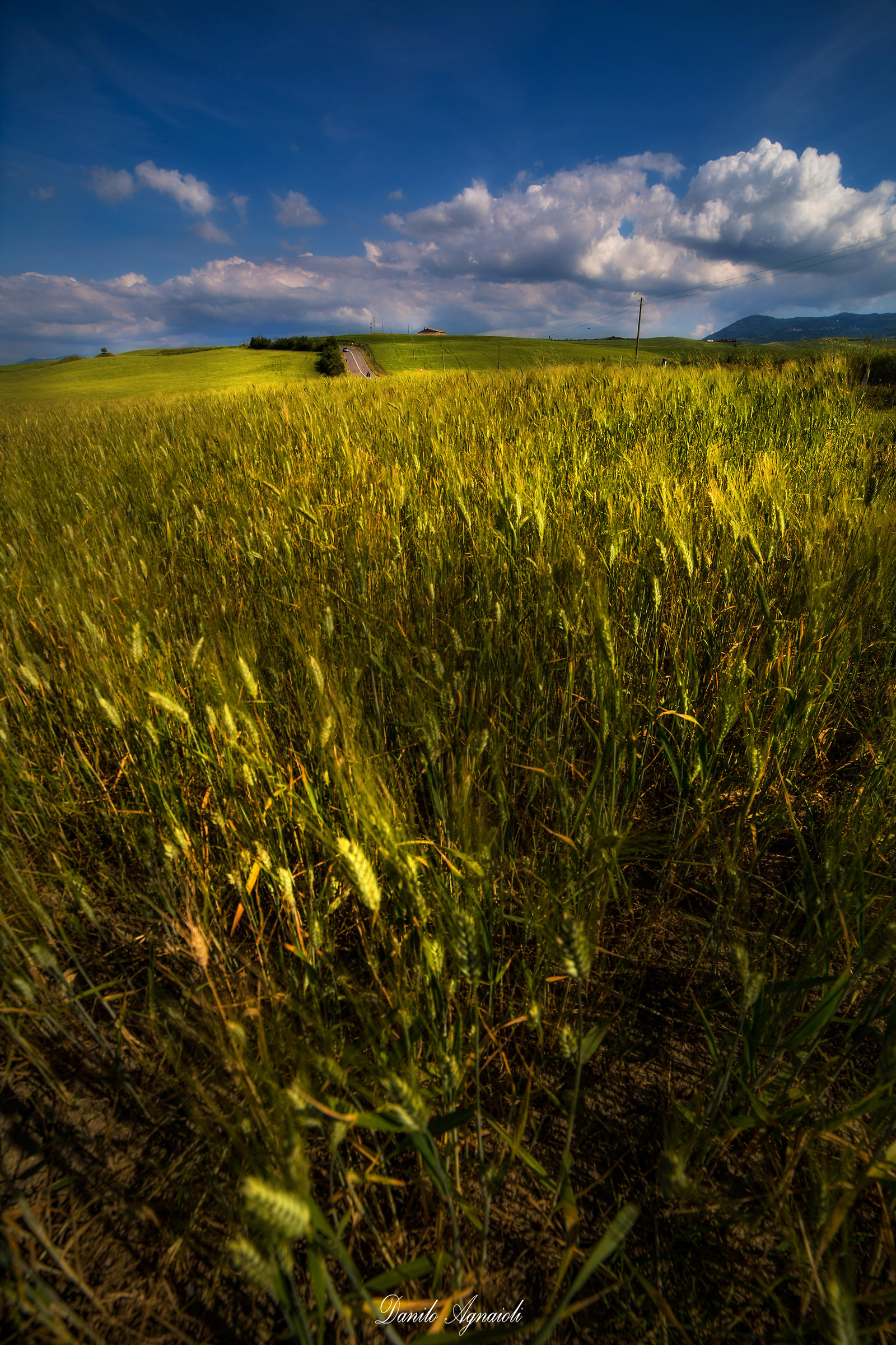 La strada giu in fondo.