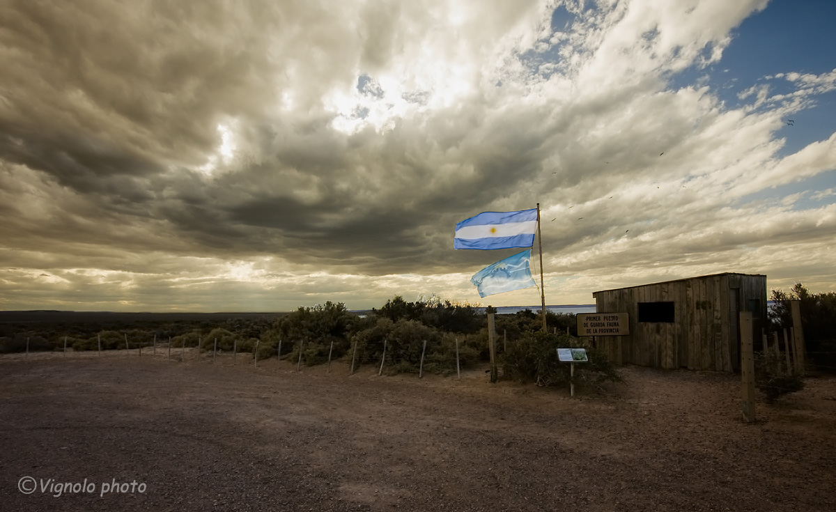 Peninsula Valdes, Argentina.