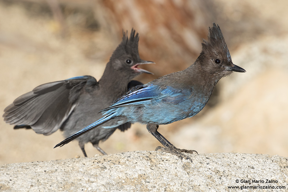 "... And look at me when I talk to you ... !!!"