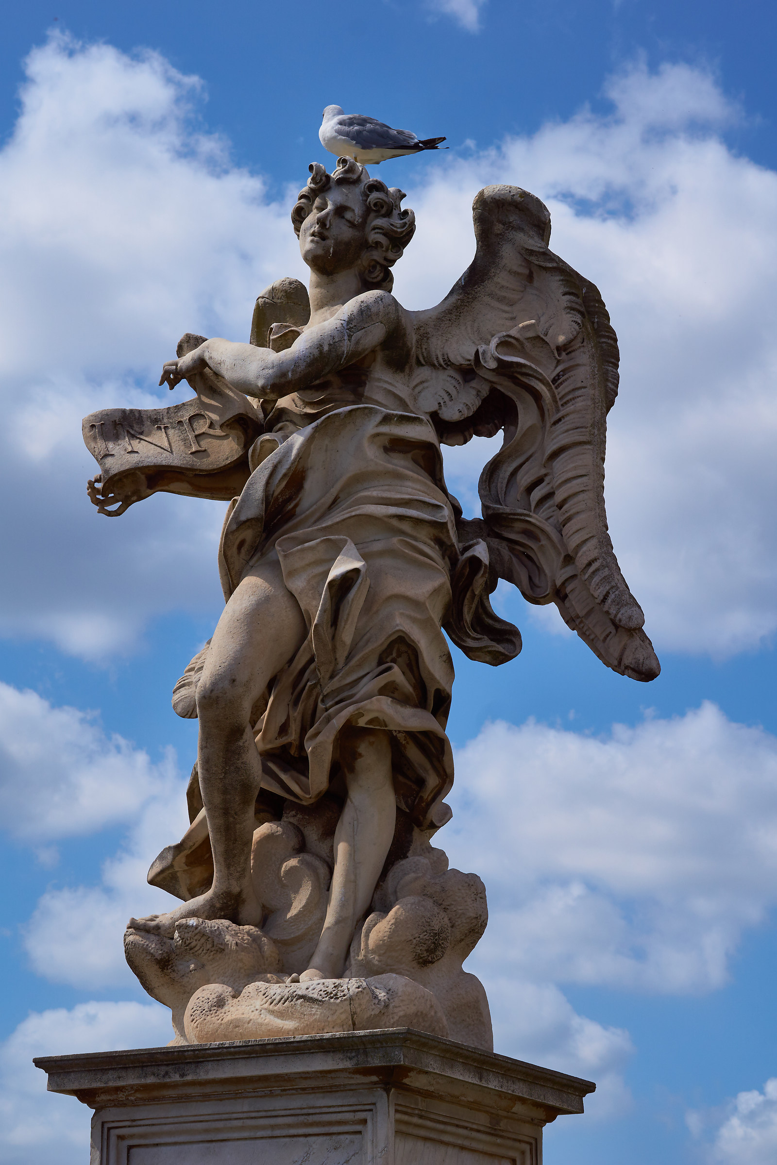 L'angelo... paziente