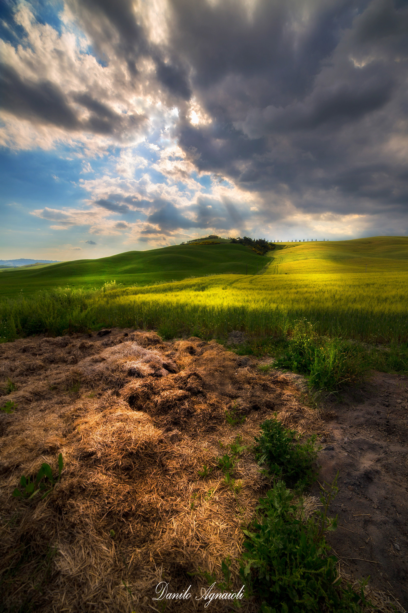 Dal letame nascono i fiori dai diamanti non nasce nient