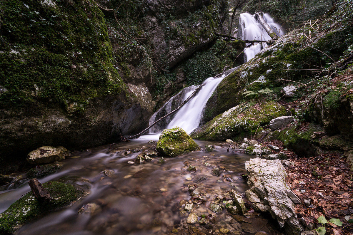 Sources of Scorzella