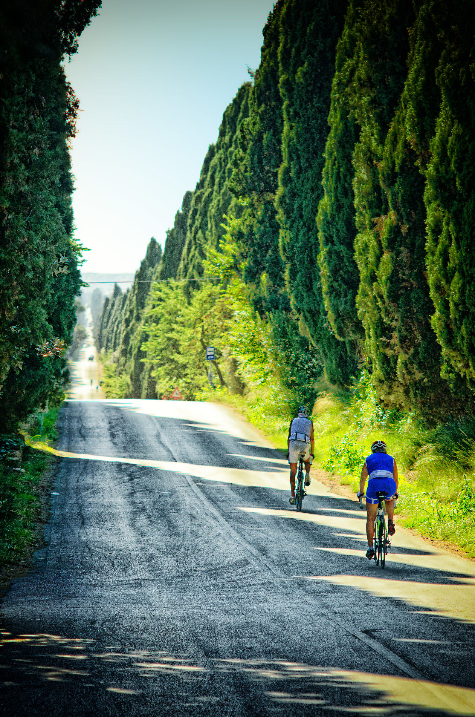 Glimpses of Bolgheri