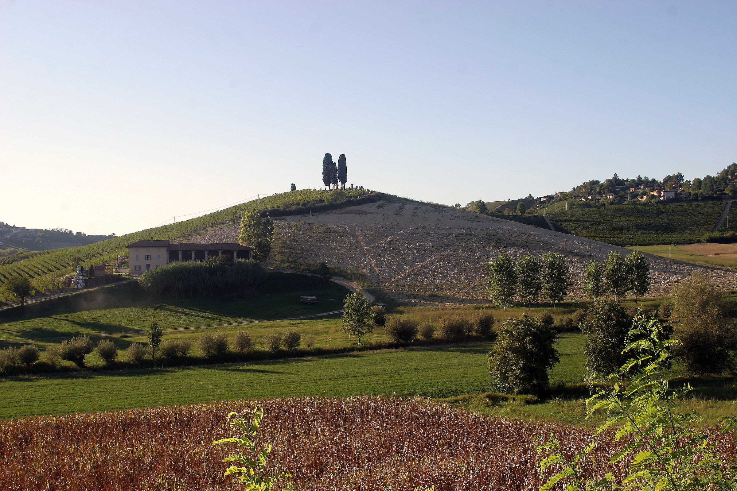three cypress-castelnuovo calcea (at)