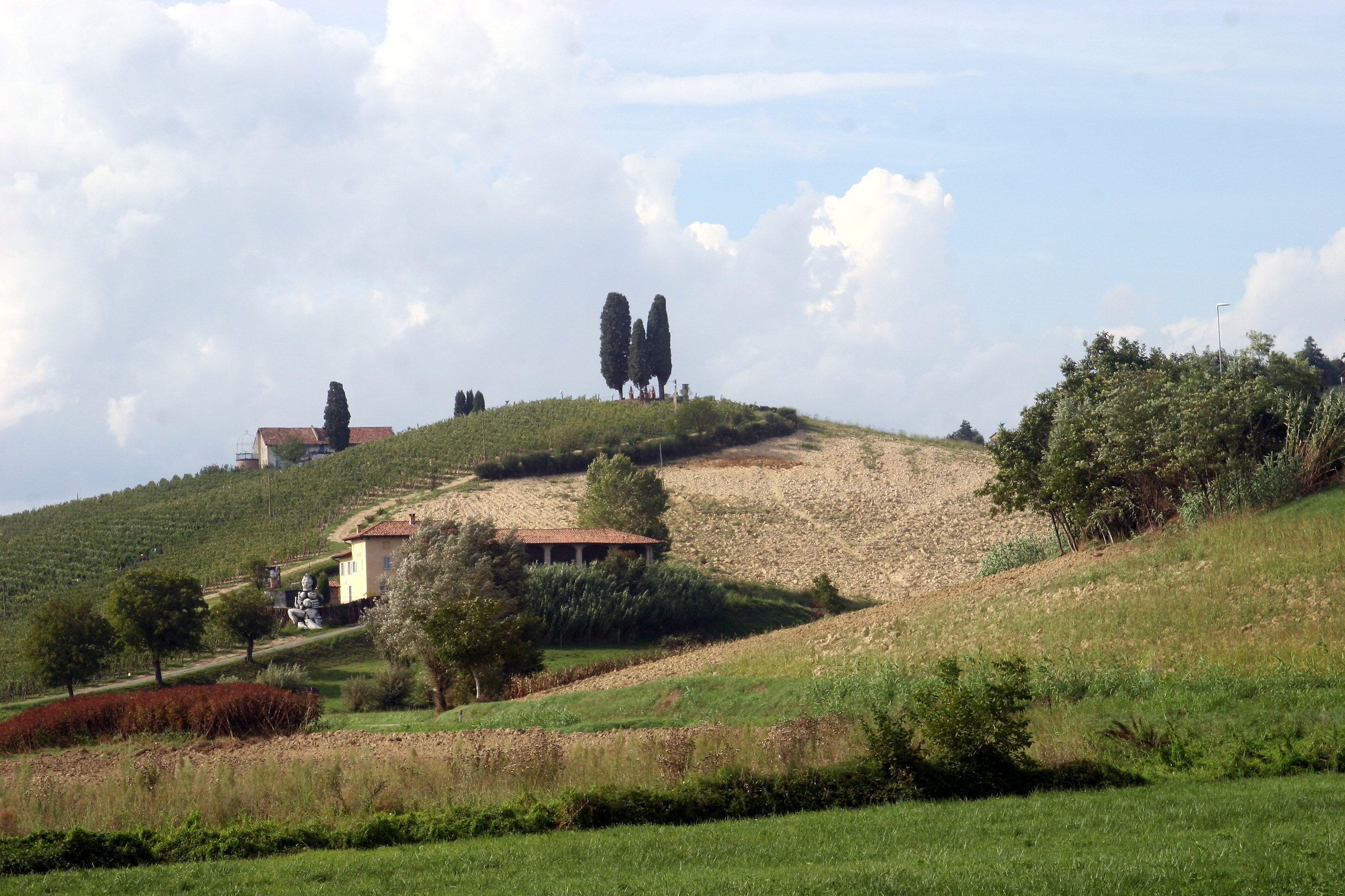 three cypresses - castelnuovo calcea (at)