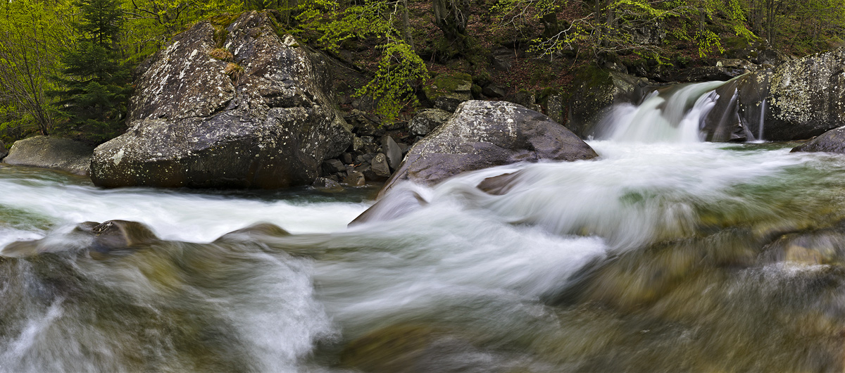 Panoramica Torrente Dolo