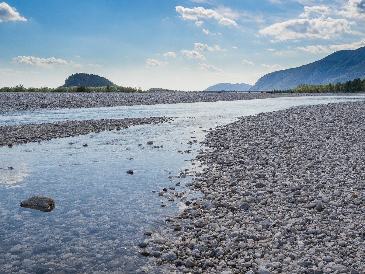 In the bed of tagliamento