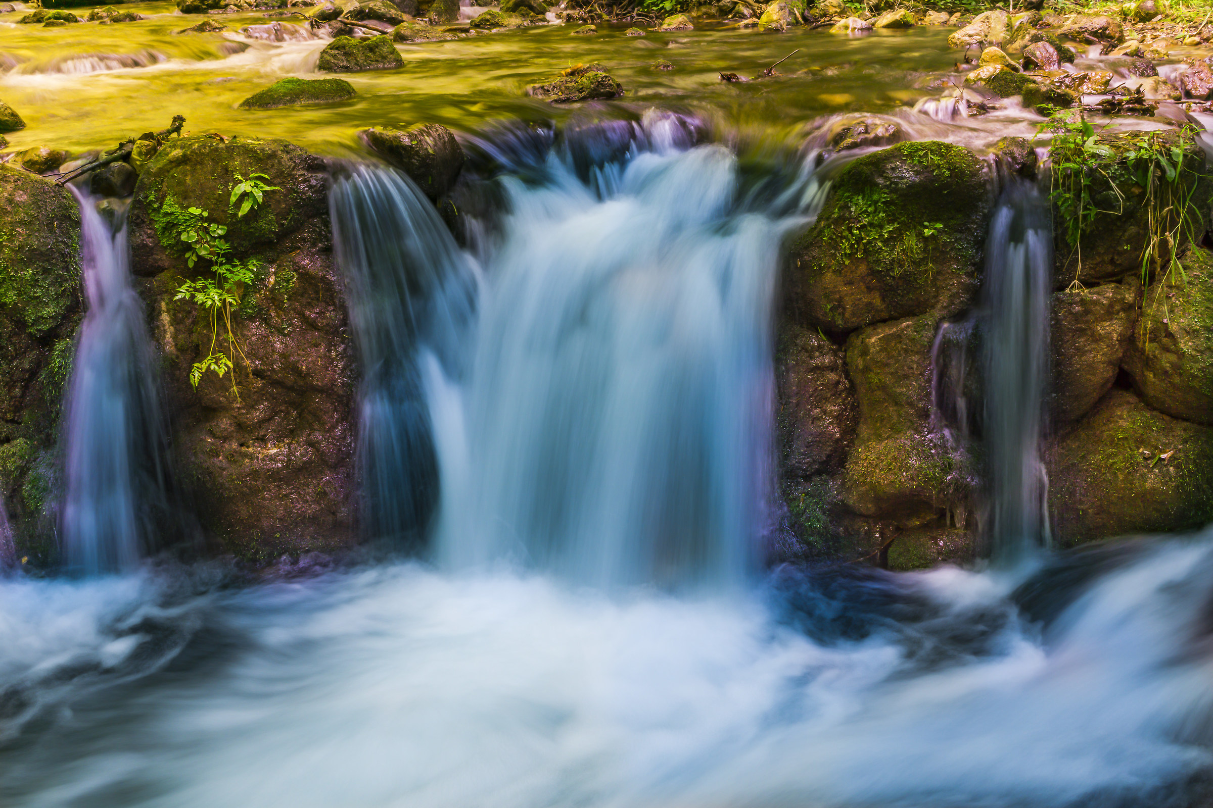 while everything flows