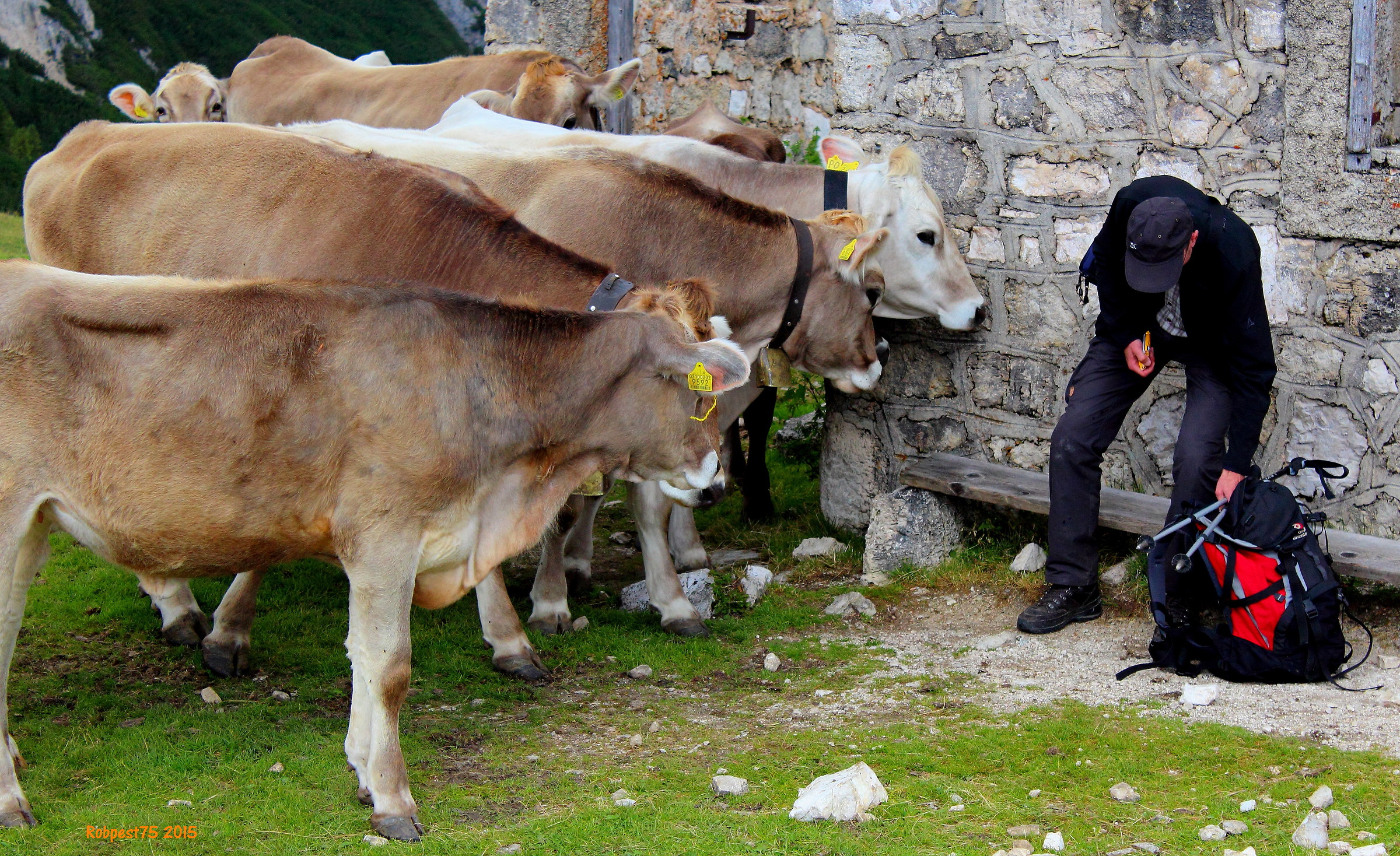 it by a little 'to us .....