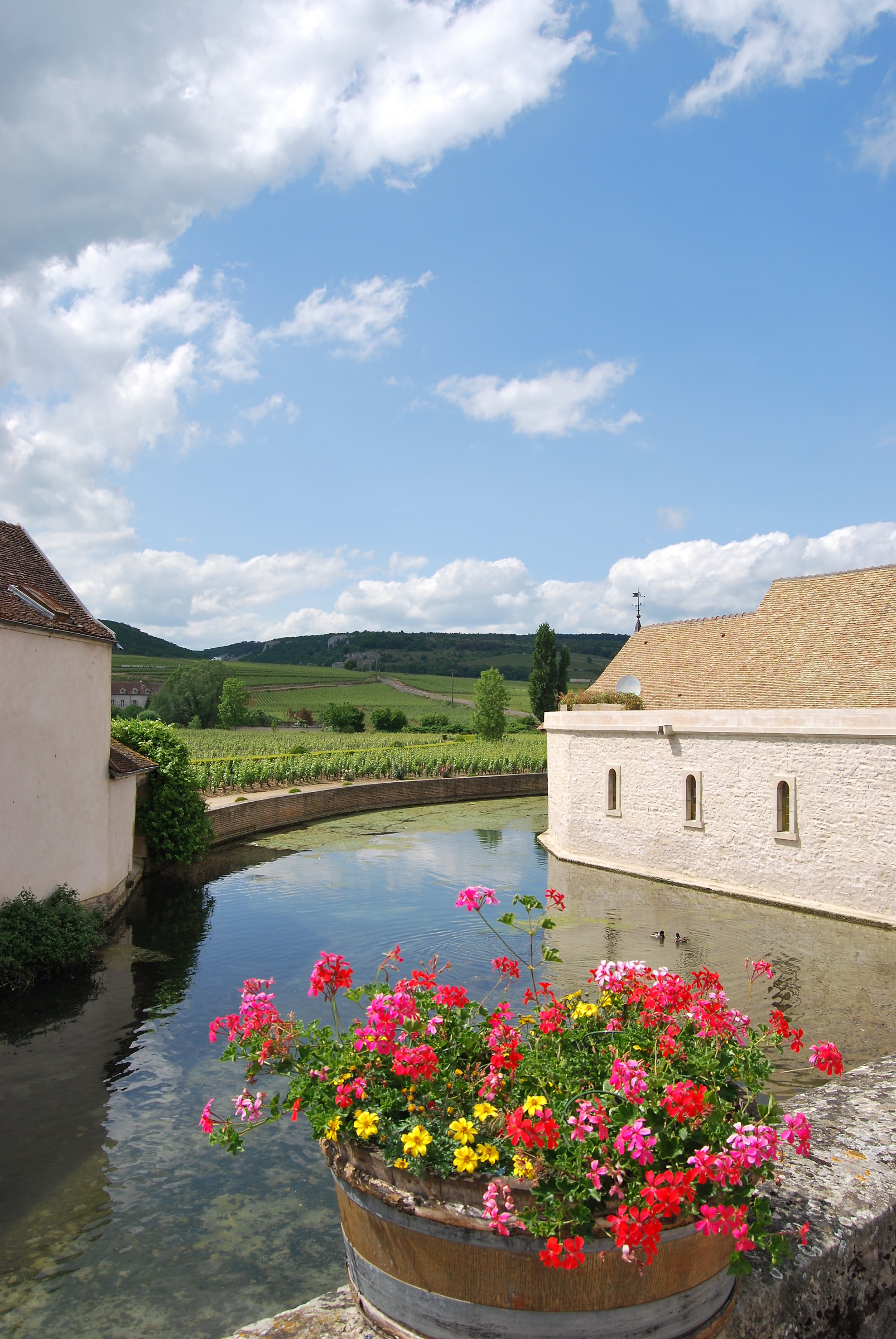 Cote d'Or Burgundy (France)