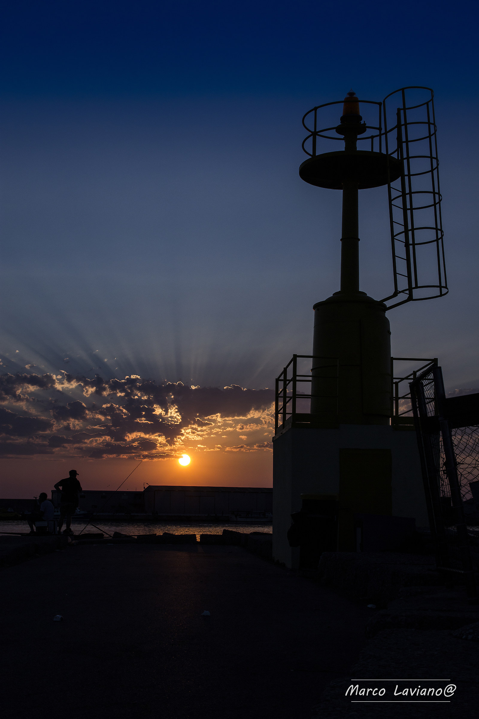 Sunsweet silhouette 2