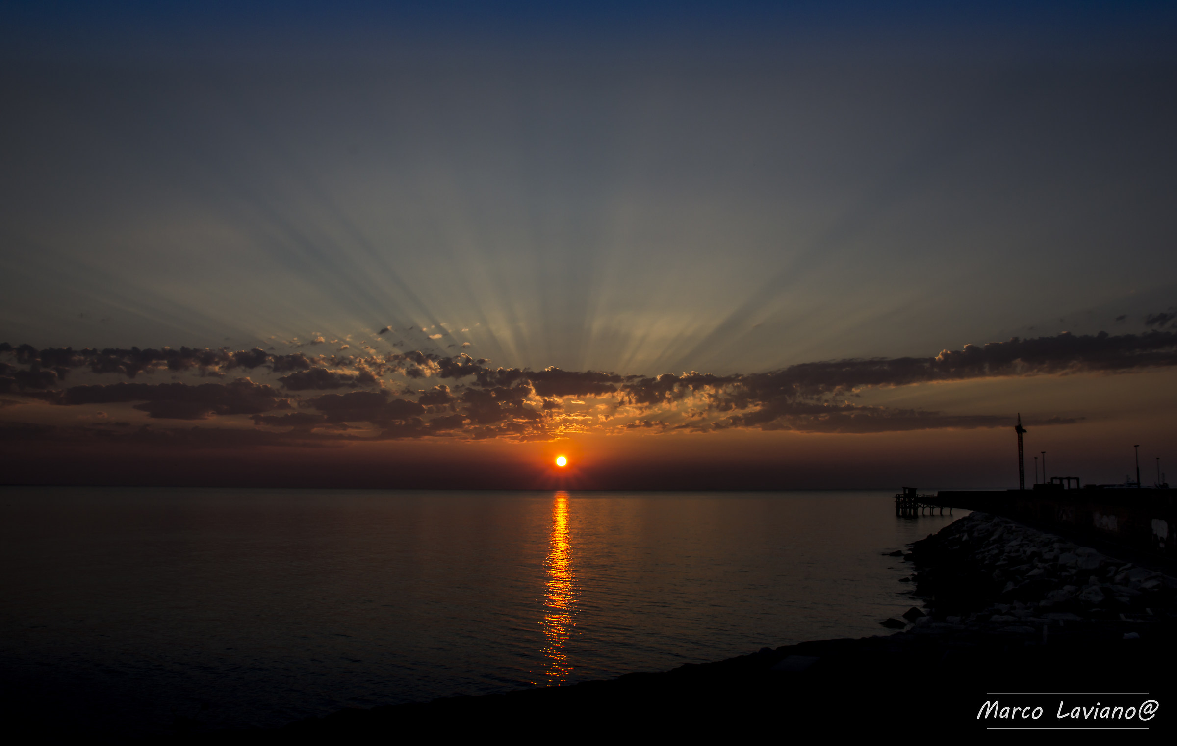 Sunsweet silhouette 3