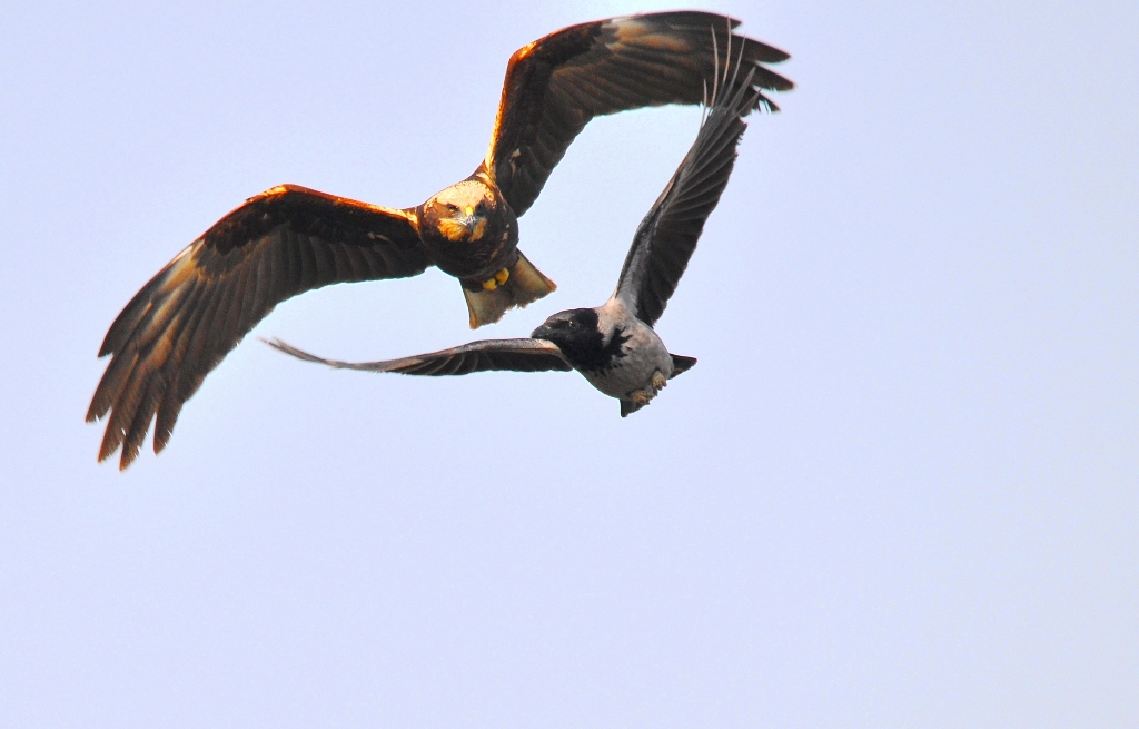 the terror in her eyes