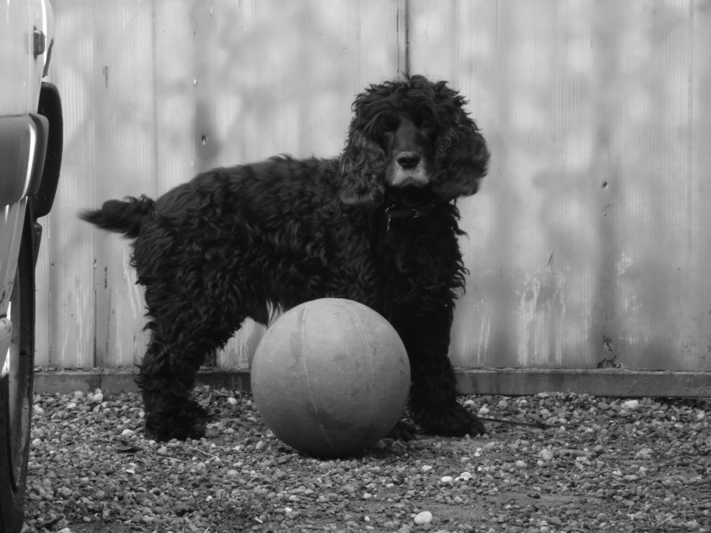 Ricordi dell'infanzia