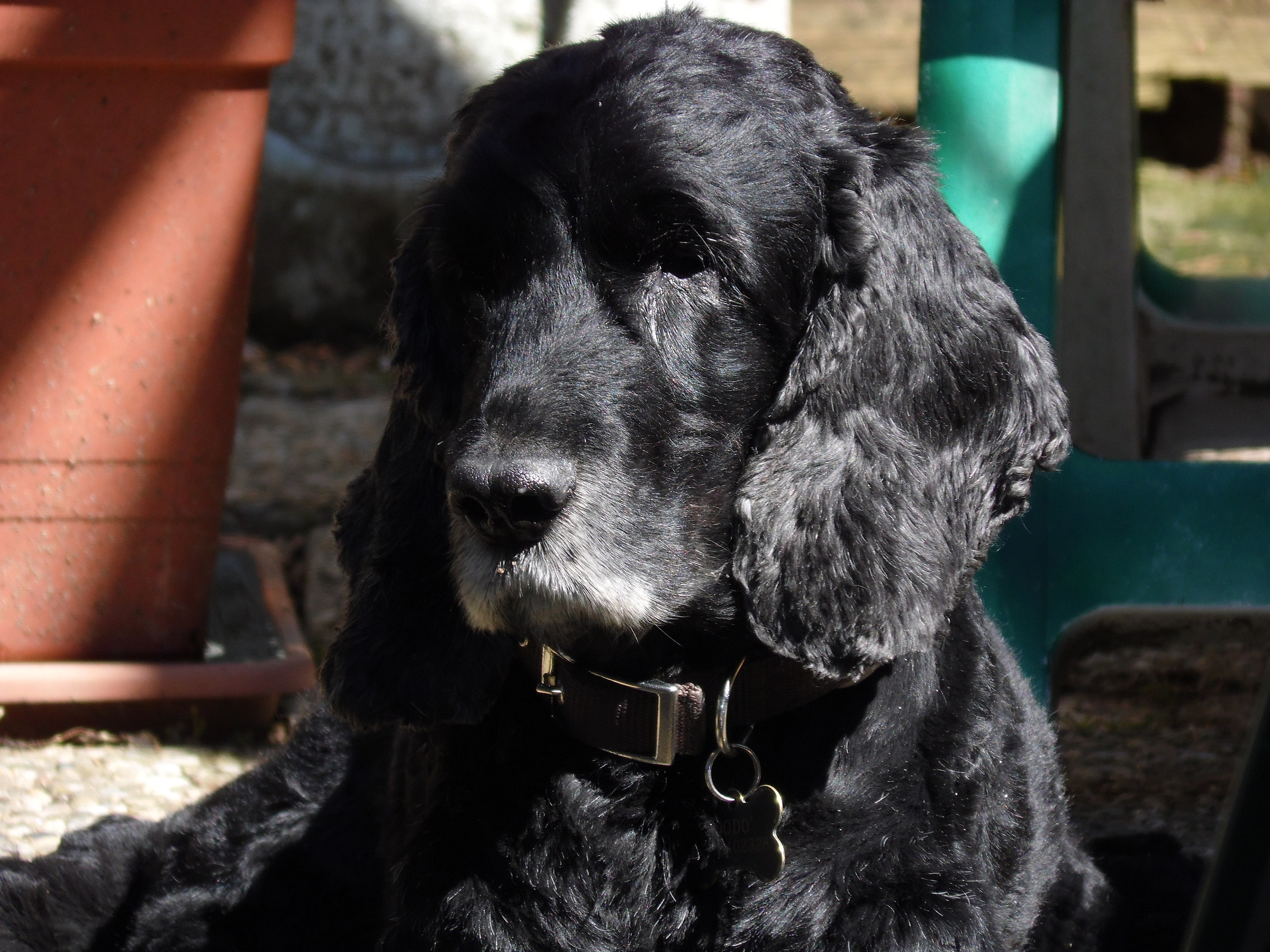 Portrait of happiness